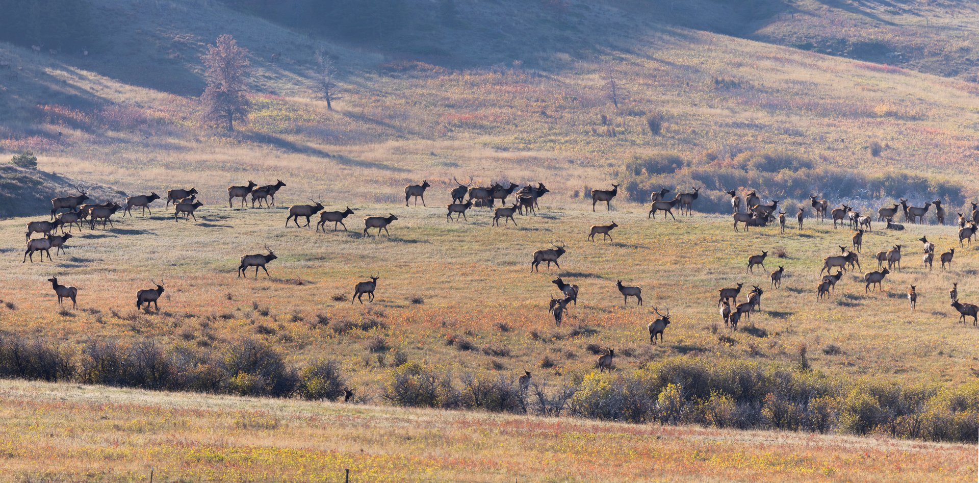 Box Elder Ranch