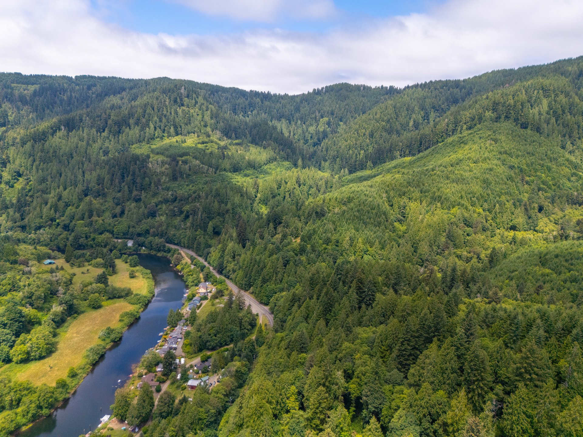 MILL CREEK FOREST