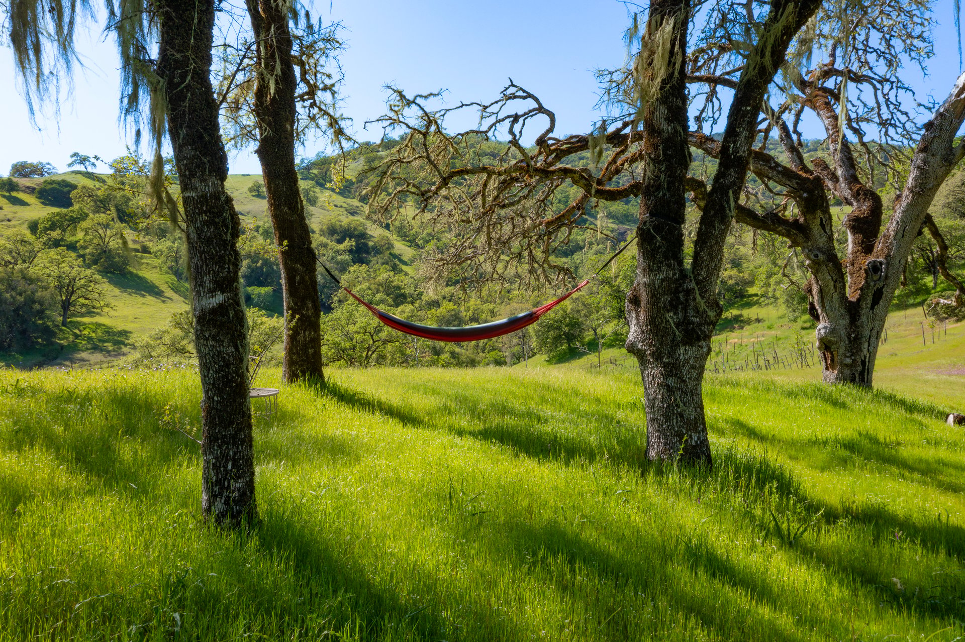 Open Hand Ranch 