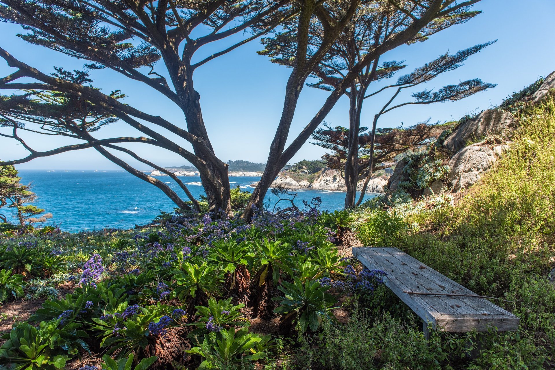 Seacliff - Unparalleled Carmel Highlands Estate