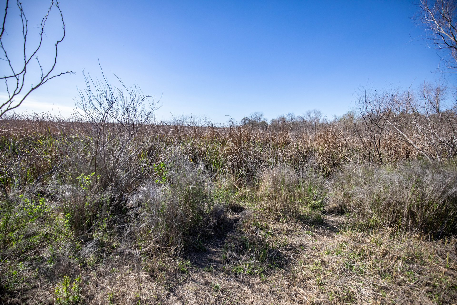 Lamar Peninsula Development Tract |  51.81± Acres | Aransas County