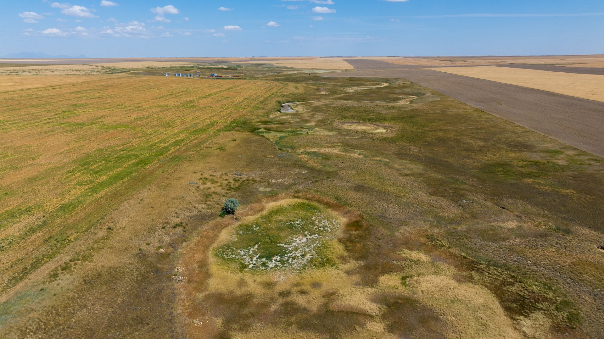Hill County Organic & CRP Farm