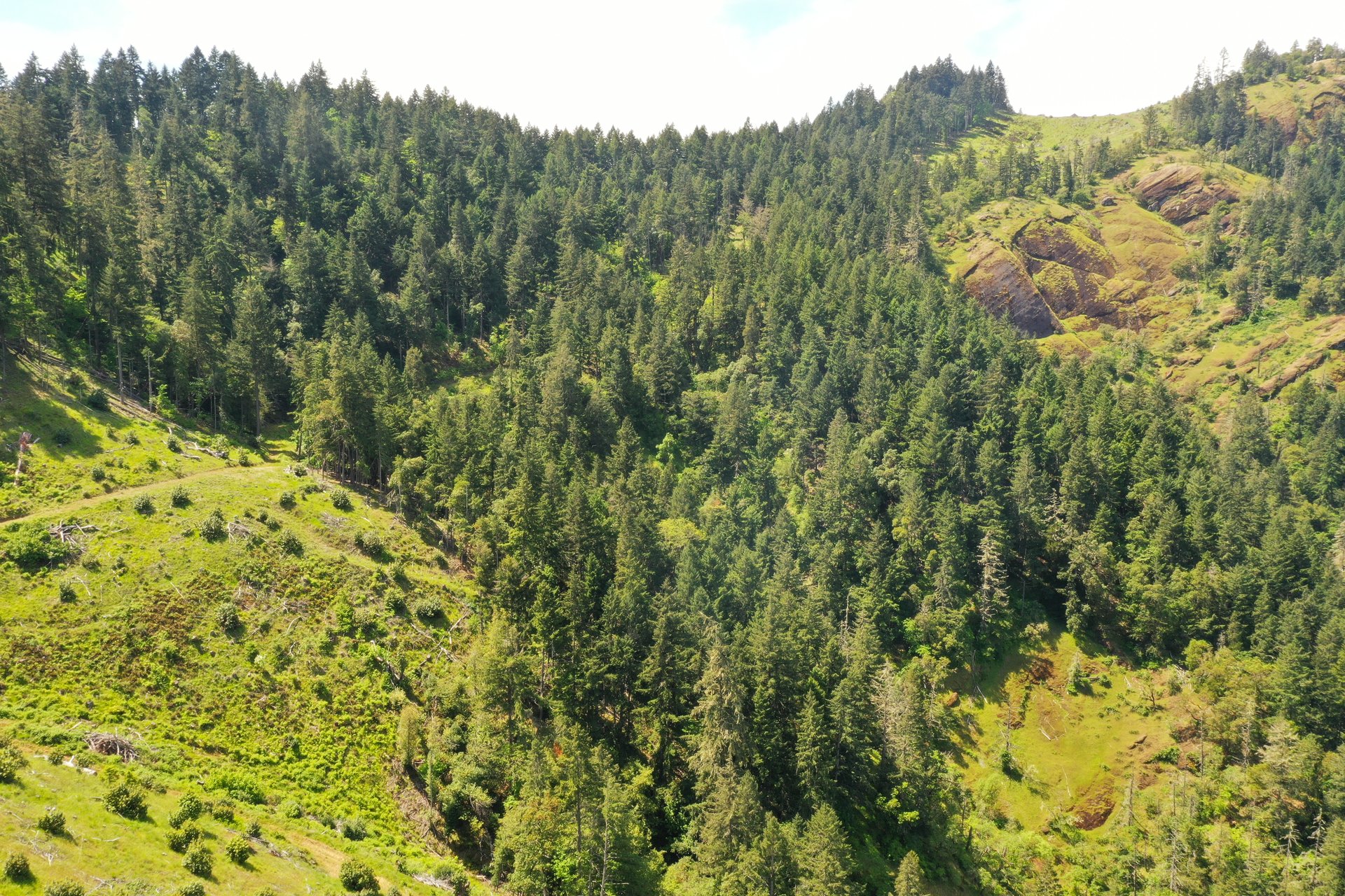 STRICKLAND BOULDER FOREST