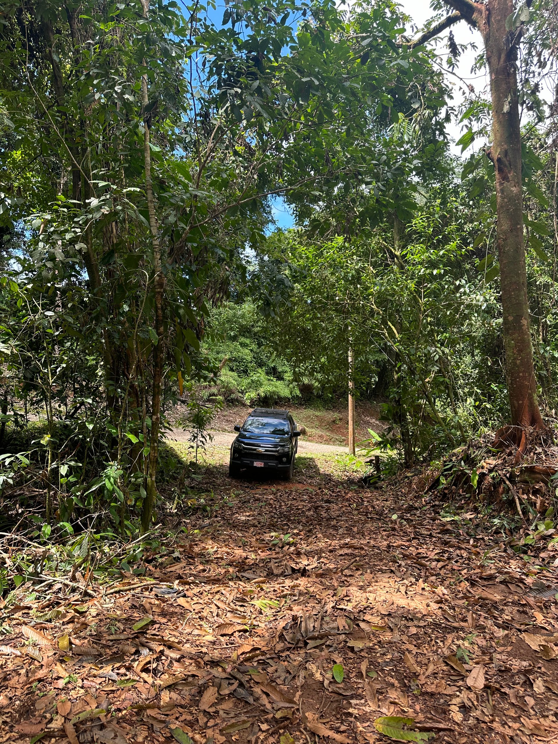Mountain View Building Lot in Prestigious Gated Community With Private Waterfall & Two Building Sites