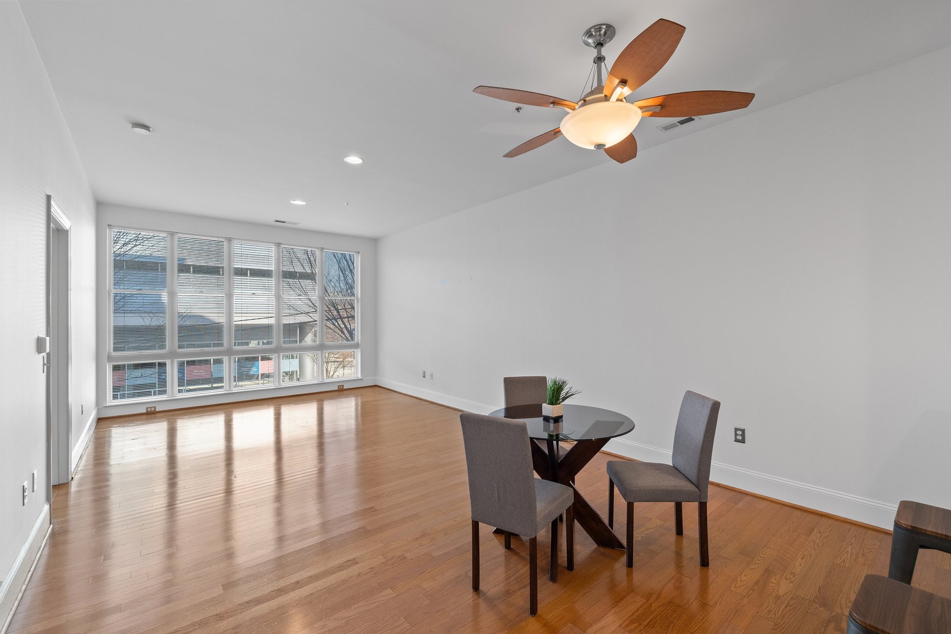 317 W Morgan St #215