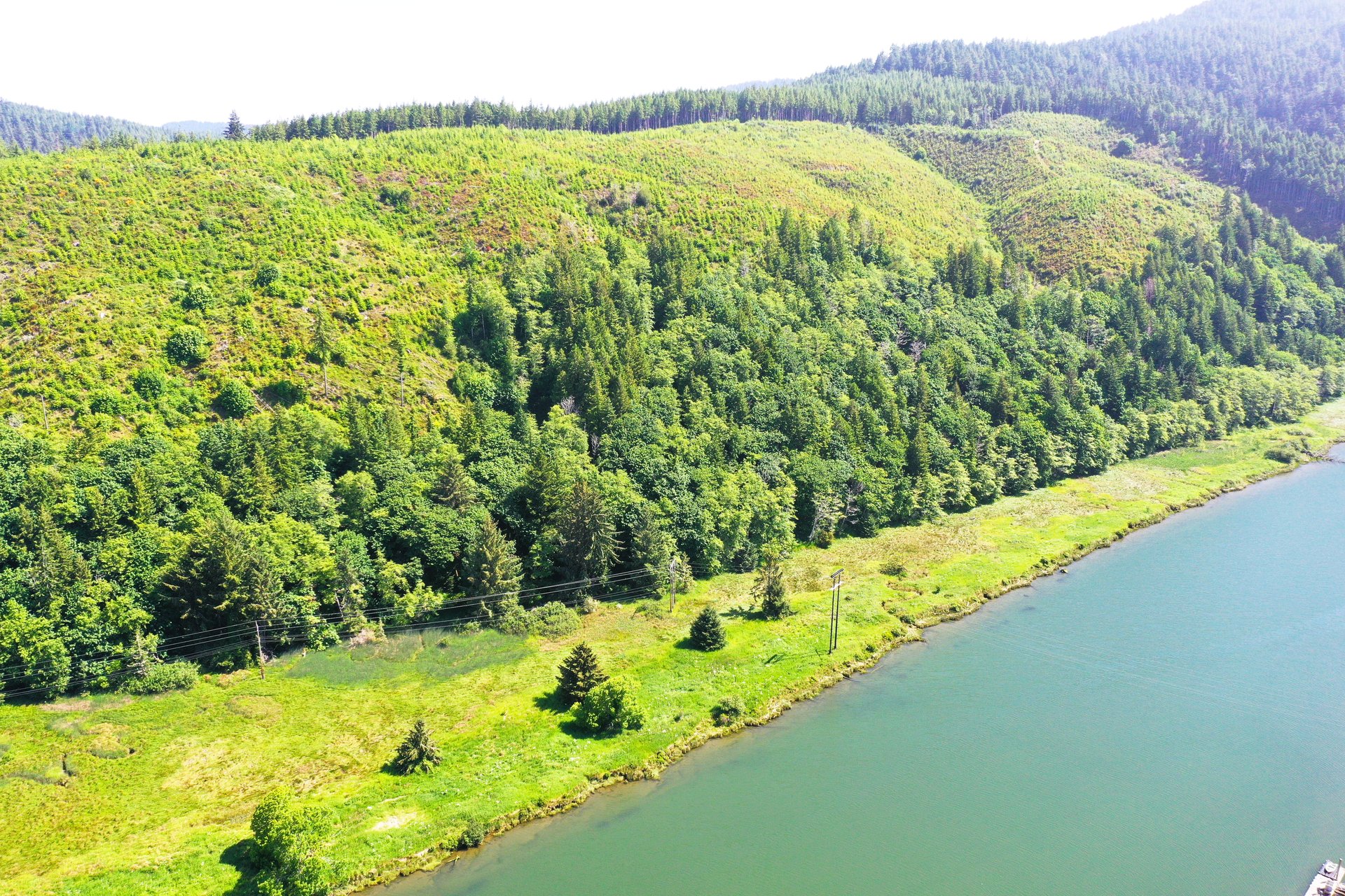 Alsea Estuary Forestland