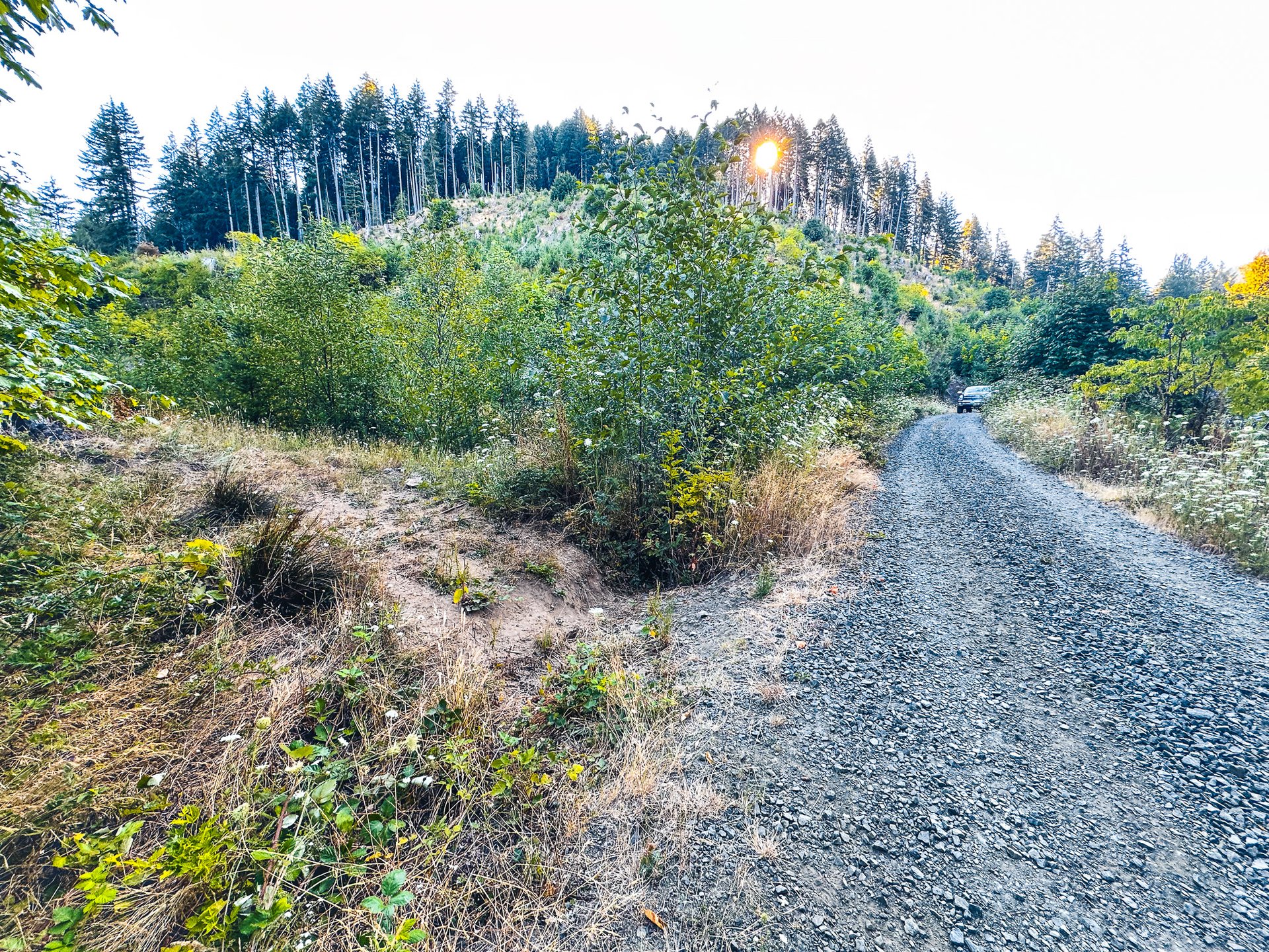 Honey Grove Creek
