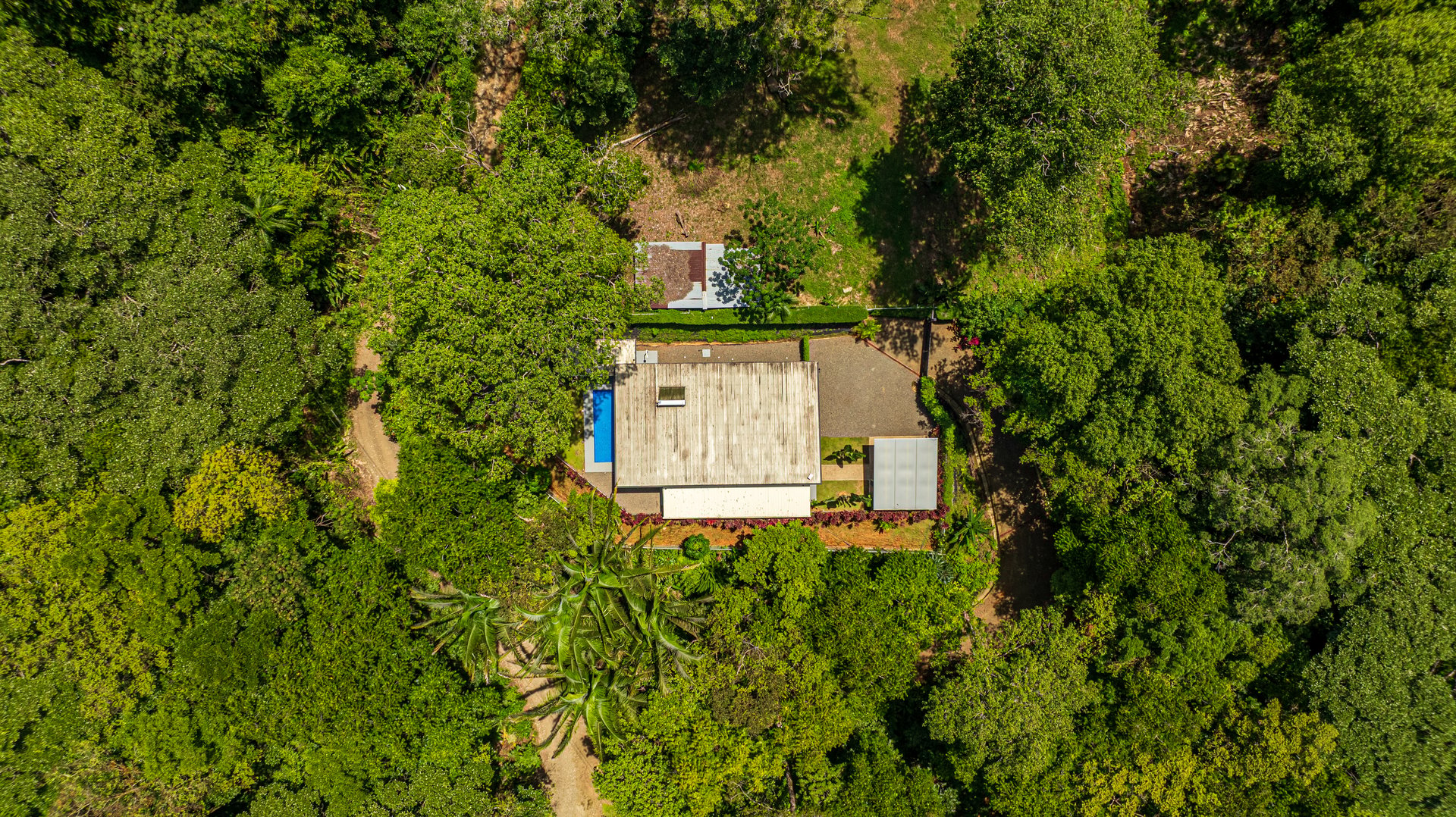 Cinco Ventanas Jungle Life Redefined