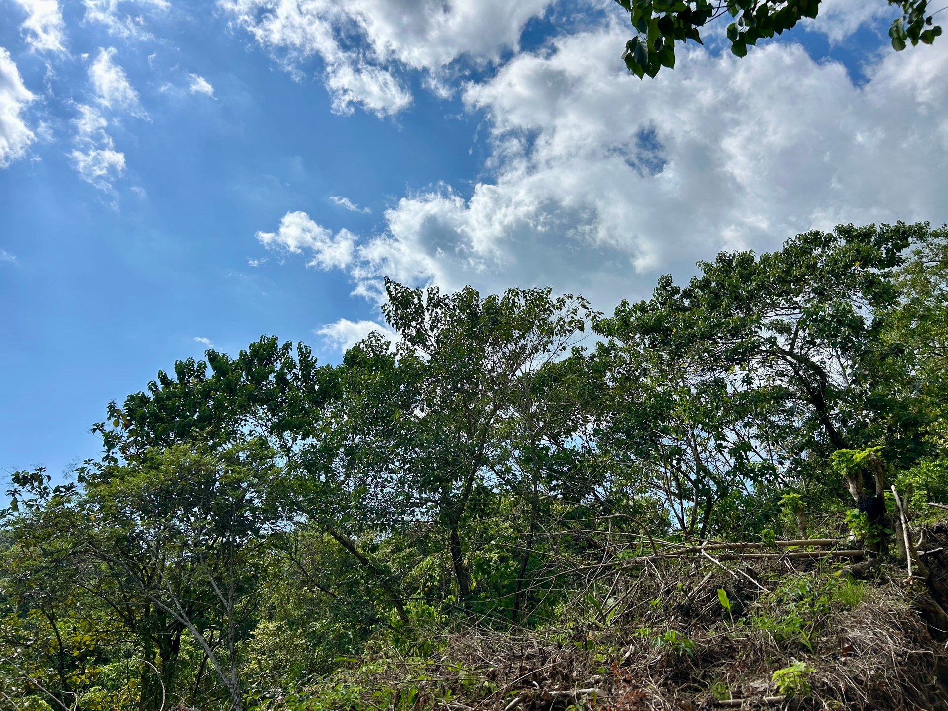 Price Reduced! Ocean View Lots in San Buenas – Just $70K Each