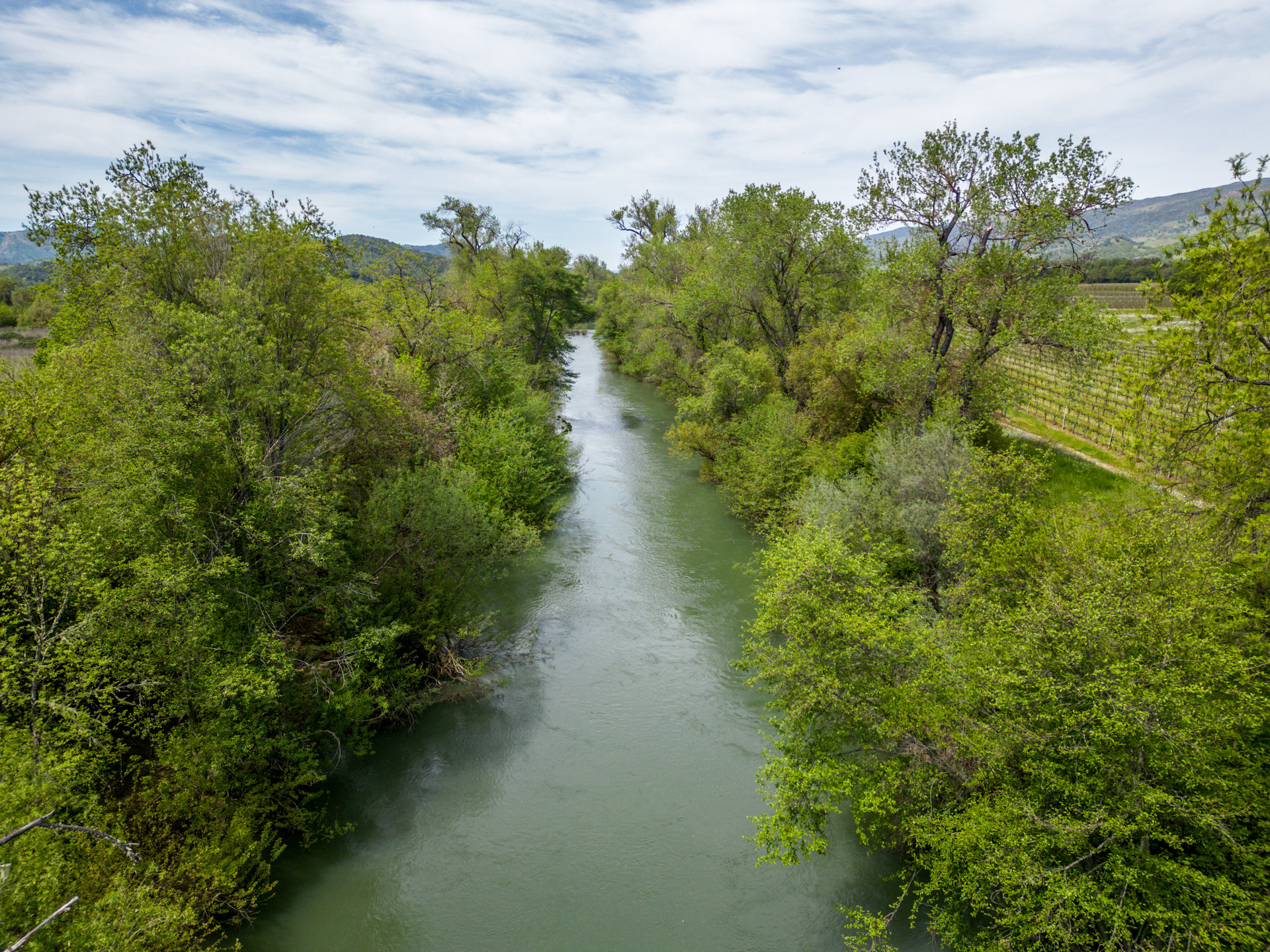 The Hopland Hills Ranch