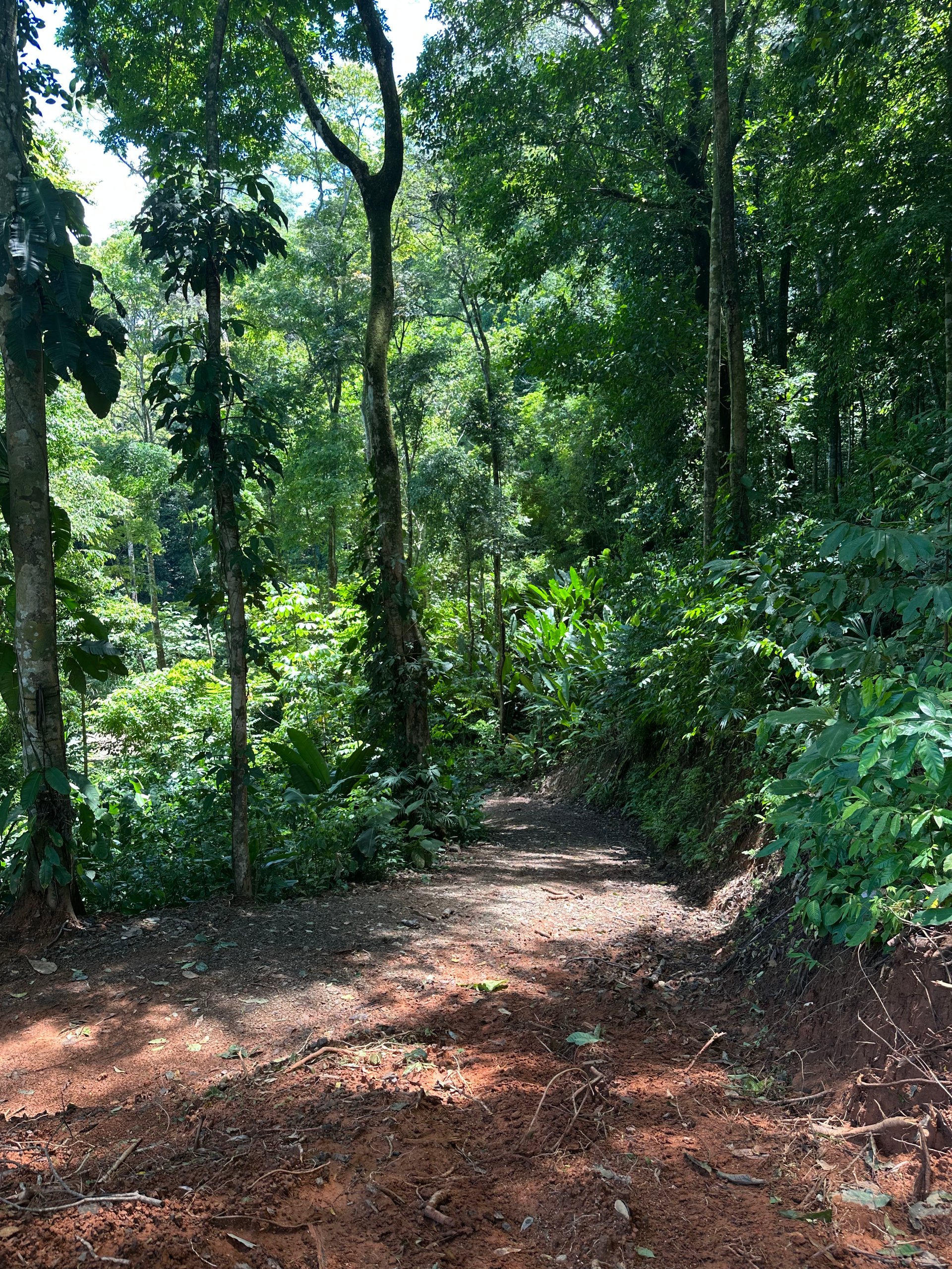 Ocean View Lot in Paradise Breezes, Hatillo - Ready to build