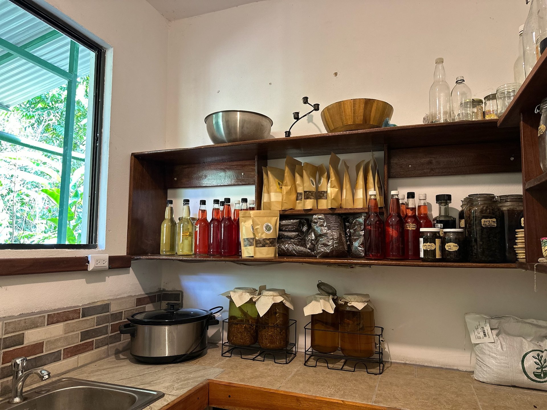 Sustainable Living Farm to Table with Home, Guest House ,Tinamastes on the River