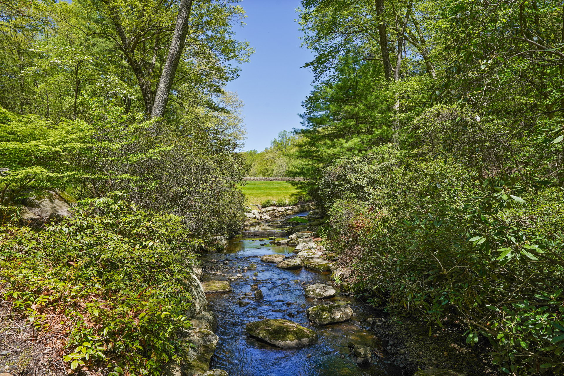 164 Eastwoods Road