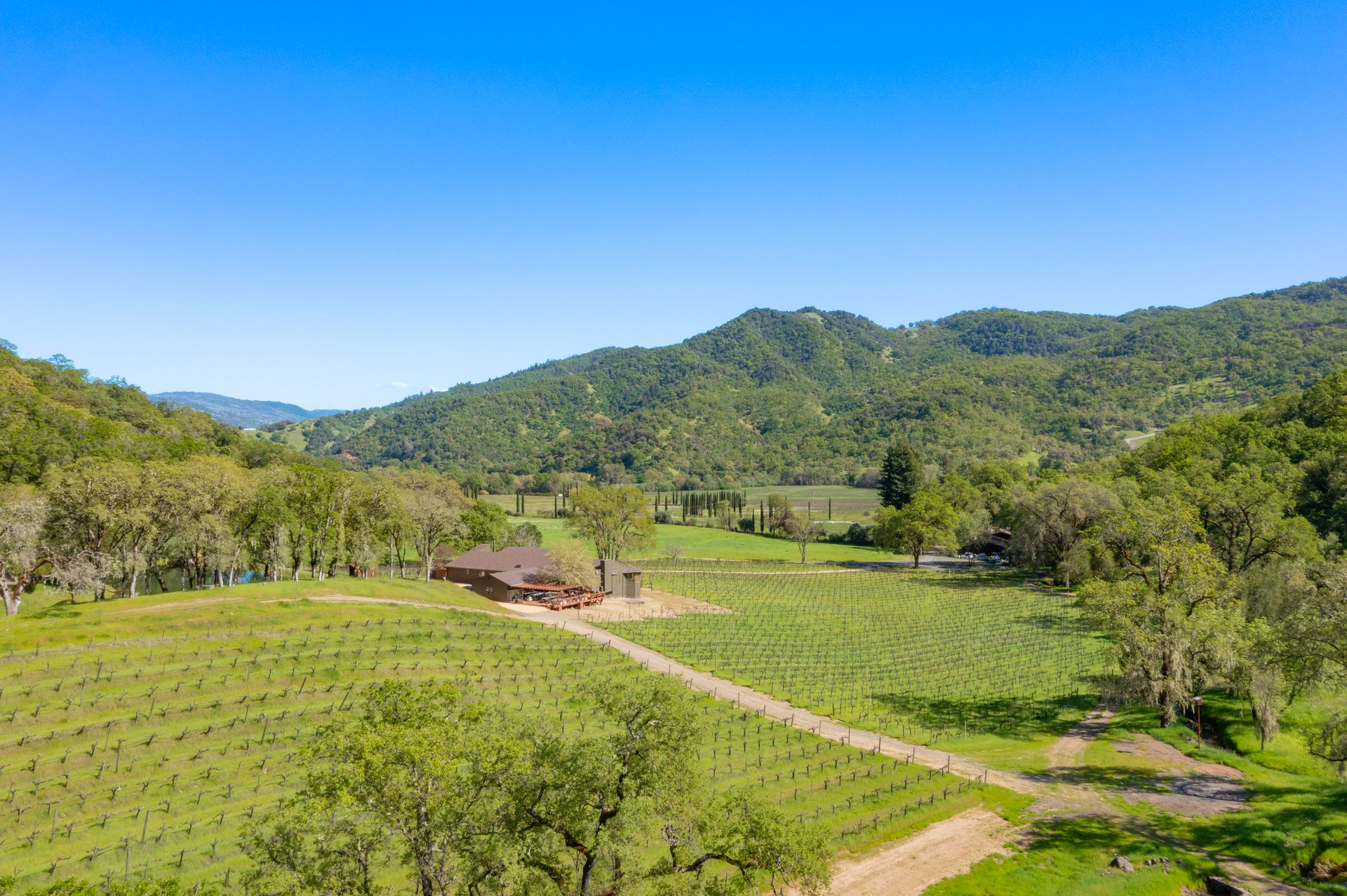Open Hand Ranch 
