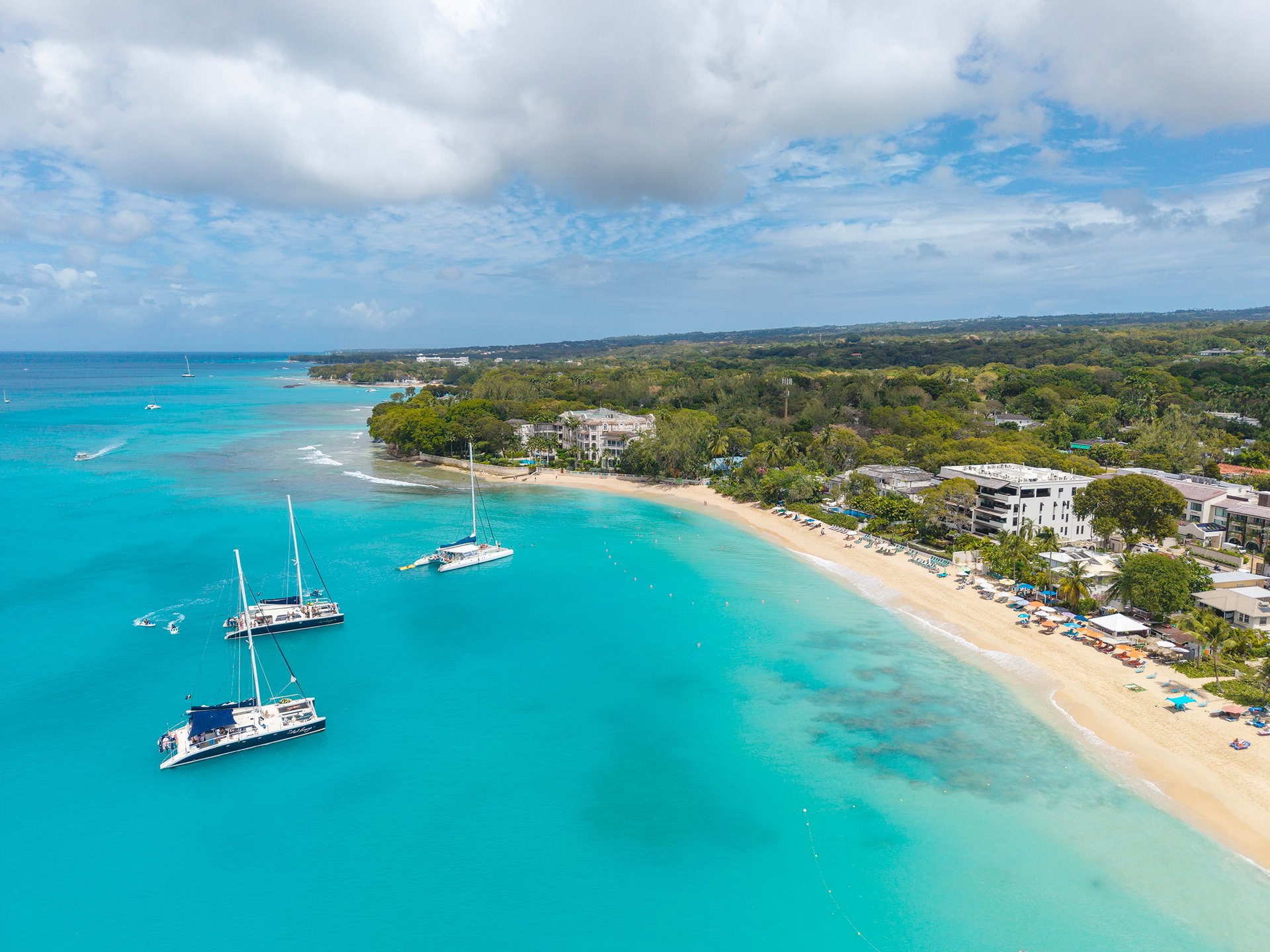 Coral Cove One