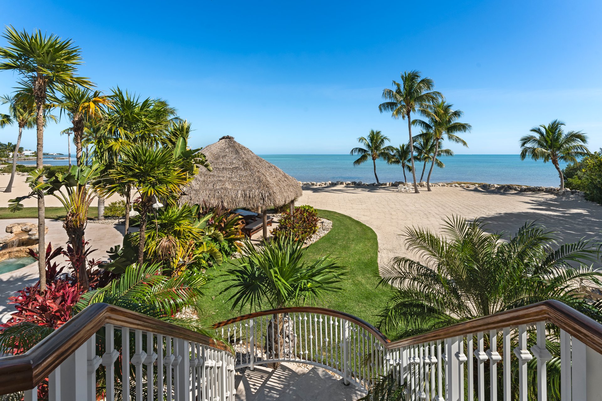 Palm Paradise 