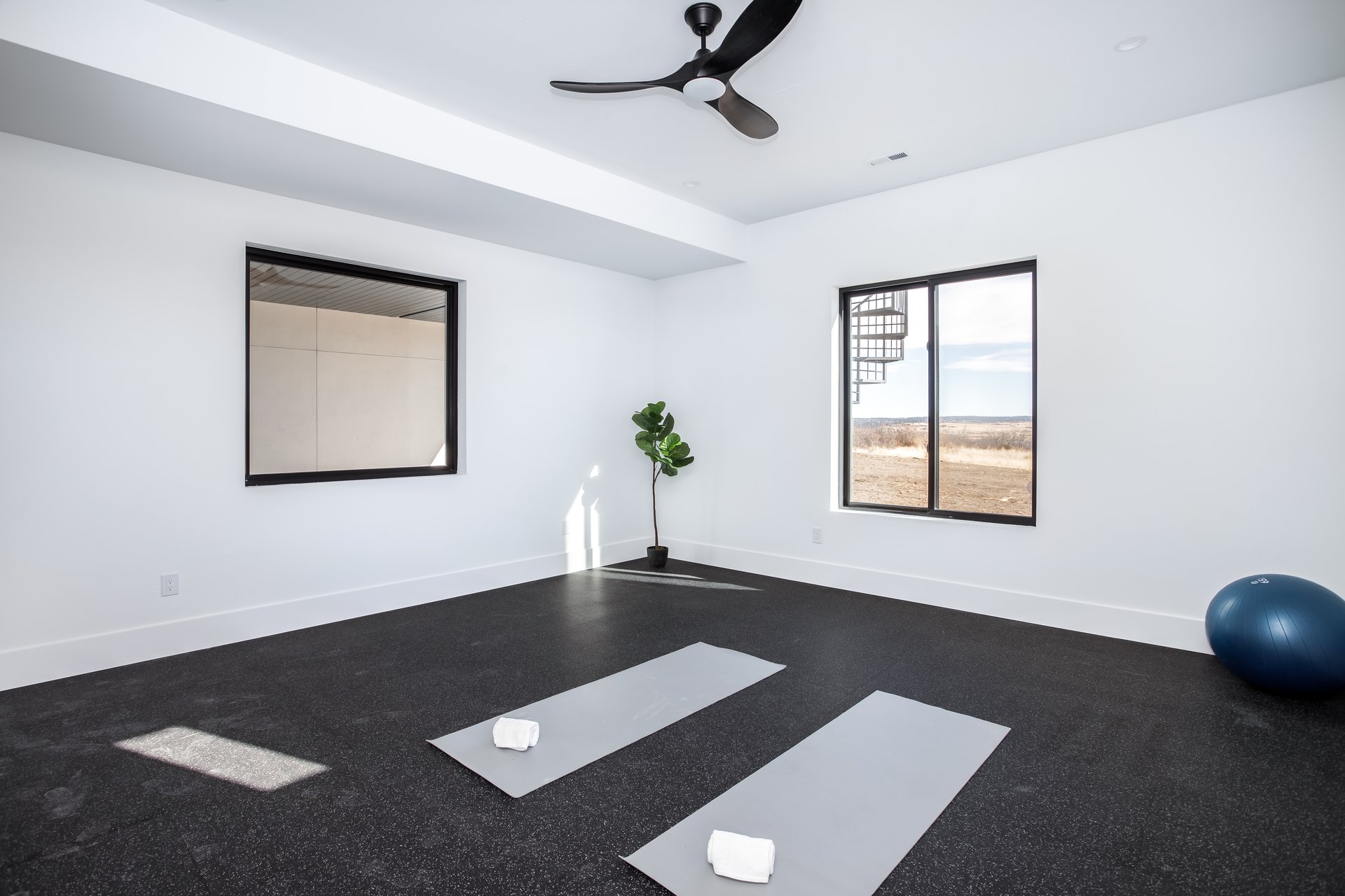  The Carefree Daylight House