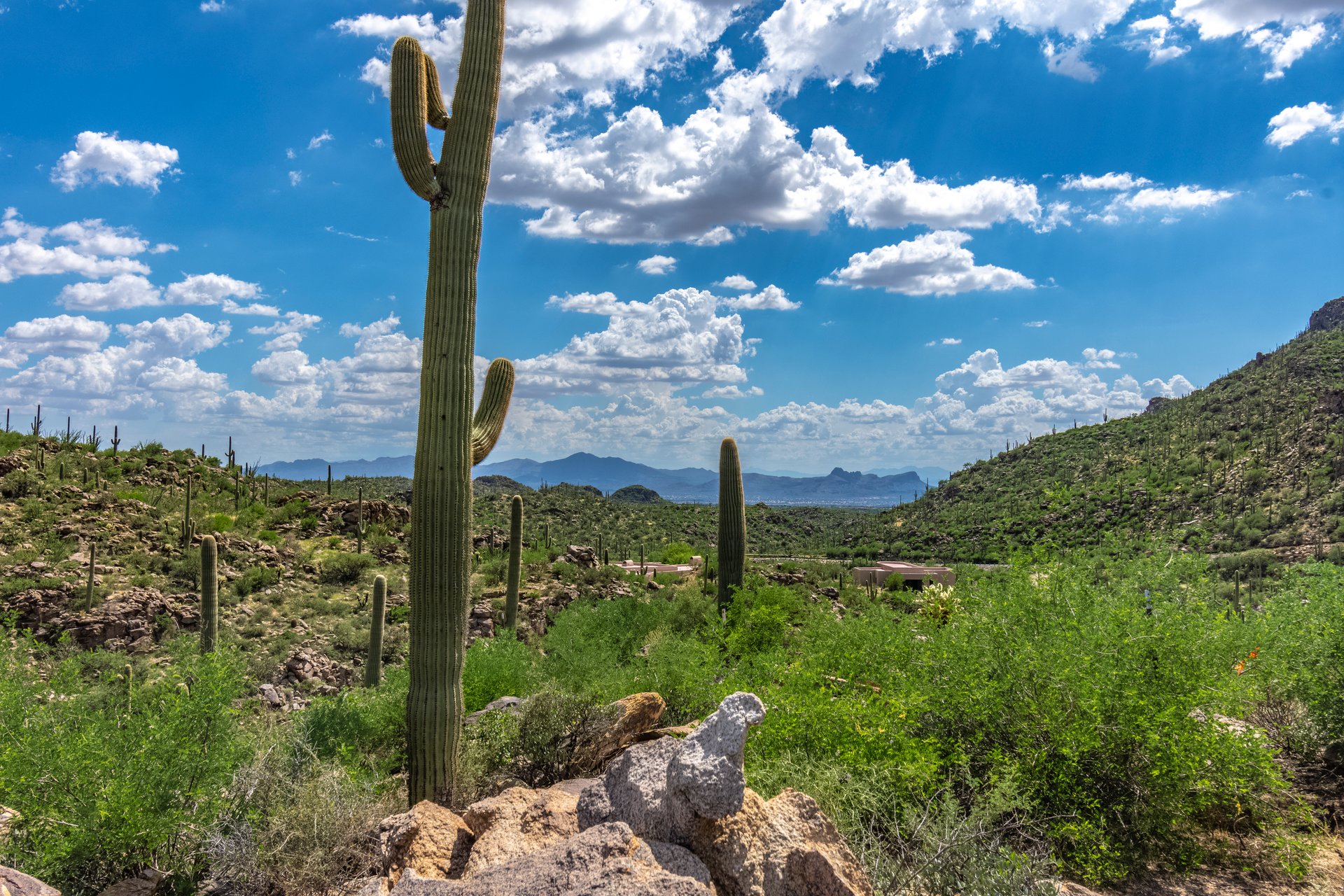 Lot #68 - 3455 Old Saguaro Ranch Road