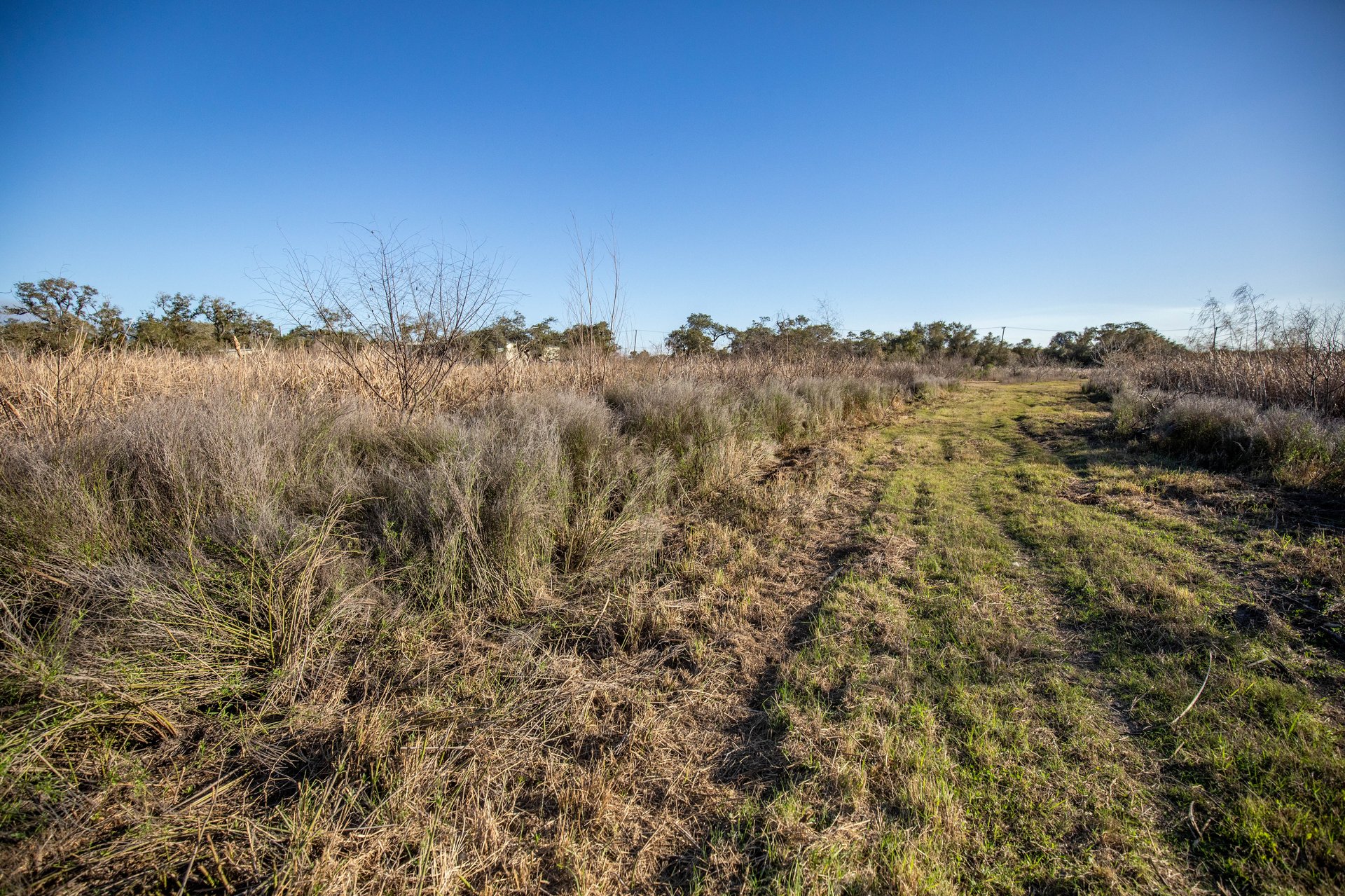 Lamar Peninsula Development Tract |  51.81± Acres | Aransas County