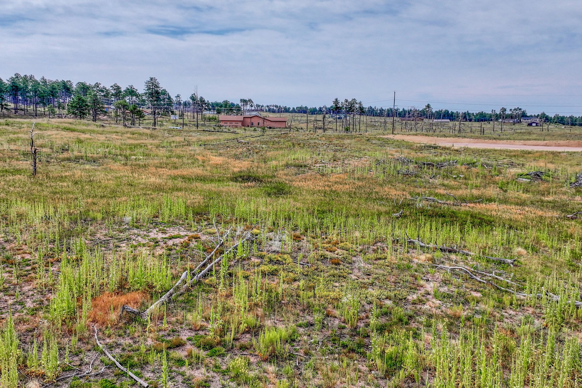 lot 1 Forest heights Circle