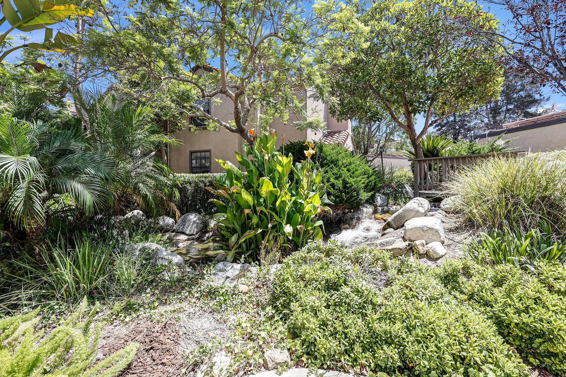 1042 Calle Del Cerro 203