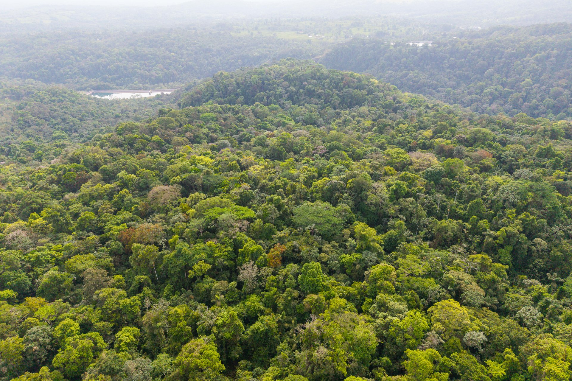 Finca Gran Bijagua | Breathtaking 10-Hectare Mountain Sanctuary in Bijagua, Costa Rica