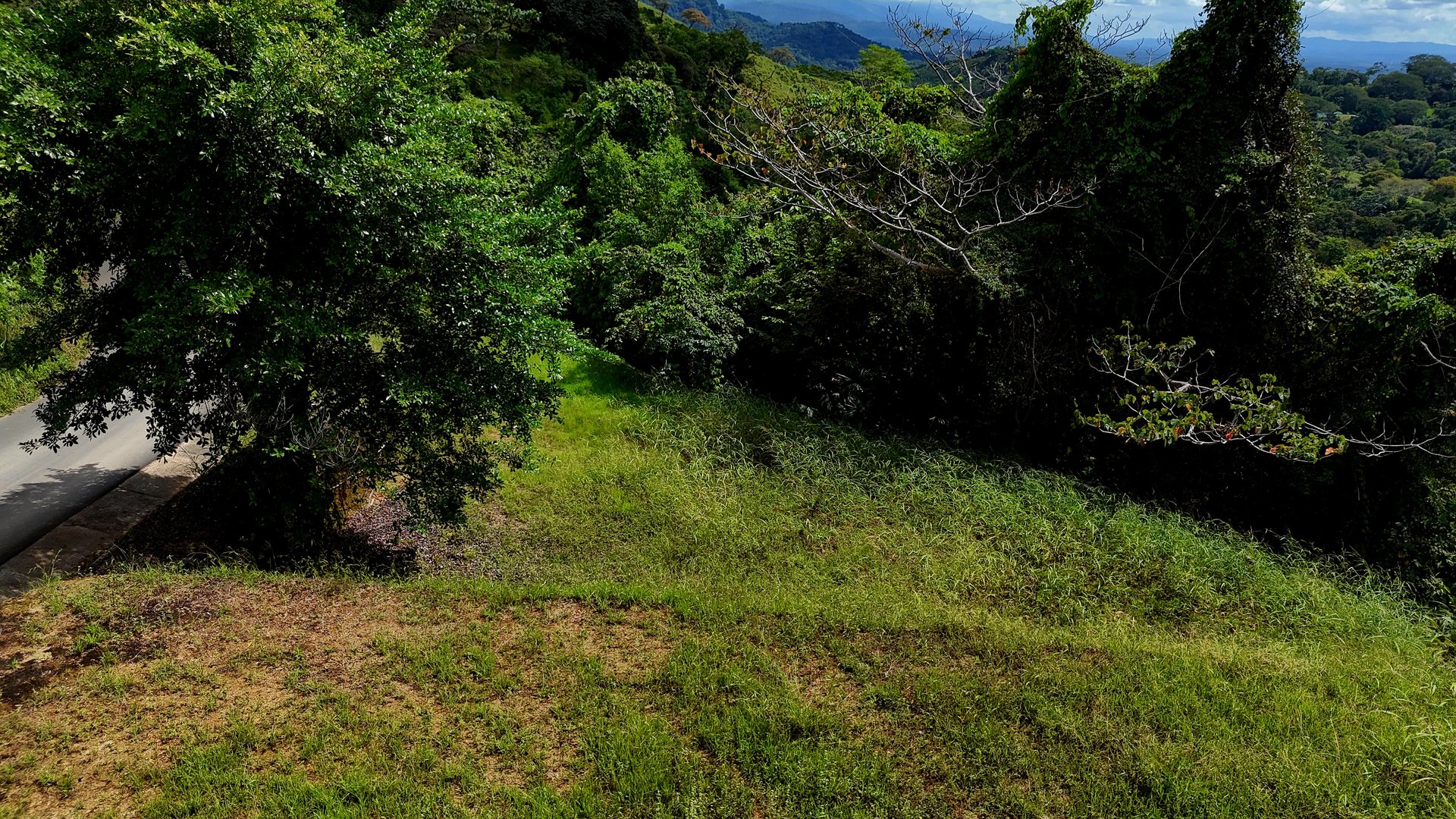 Ocean-View Lot in Chontales – 9,057 m² – Osa, Puntarenas