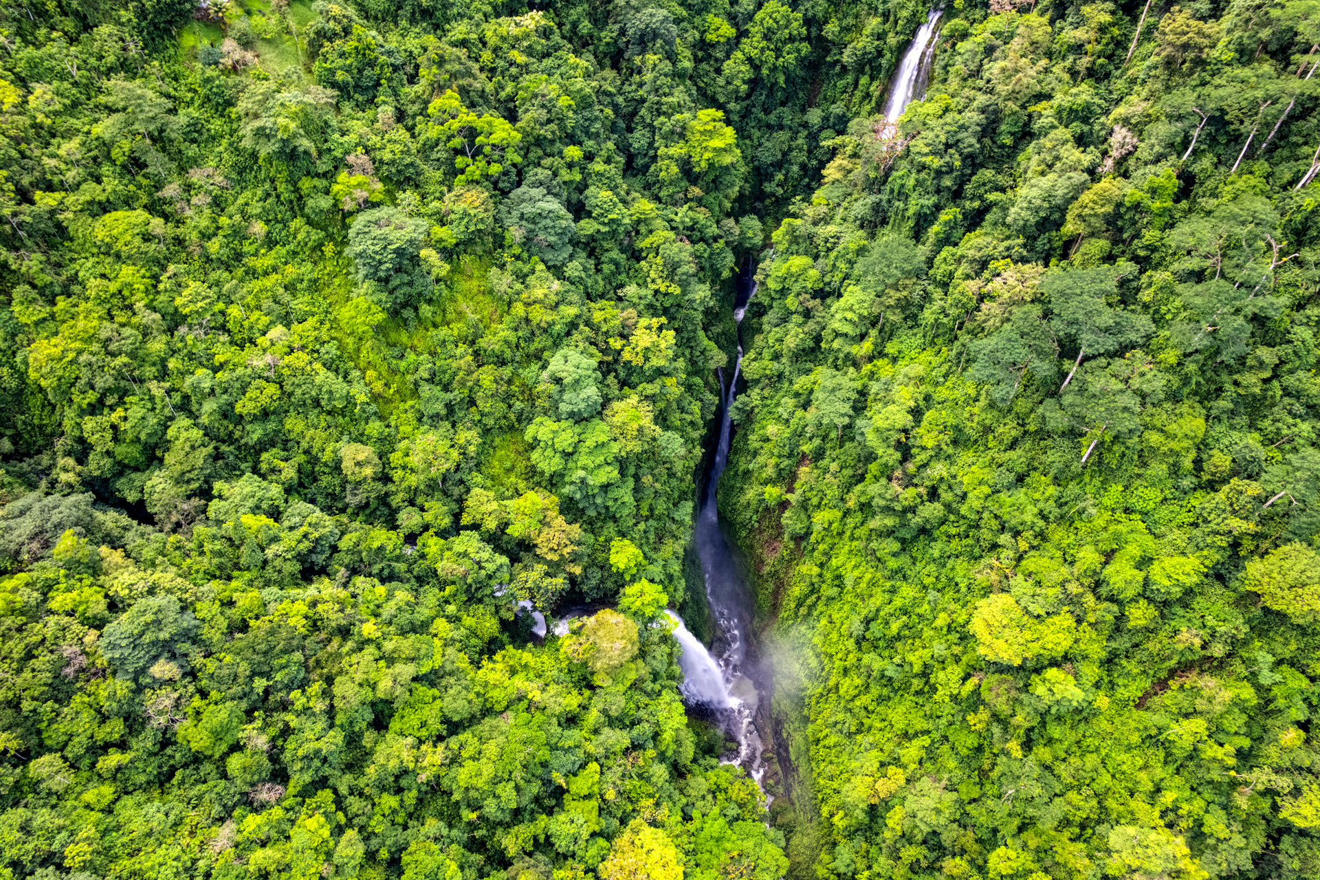 Once in a Lifetime Waterfall Farm in a Pristine Biological Corridor