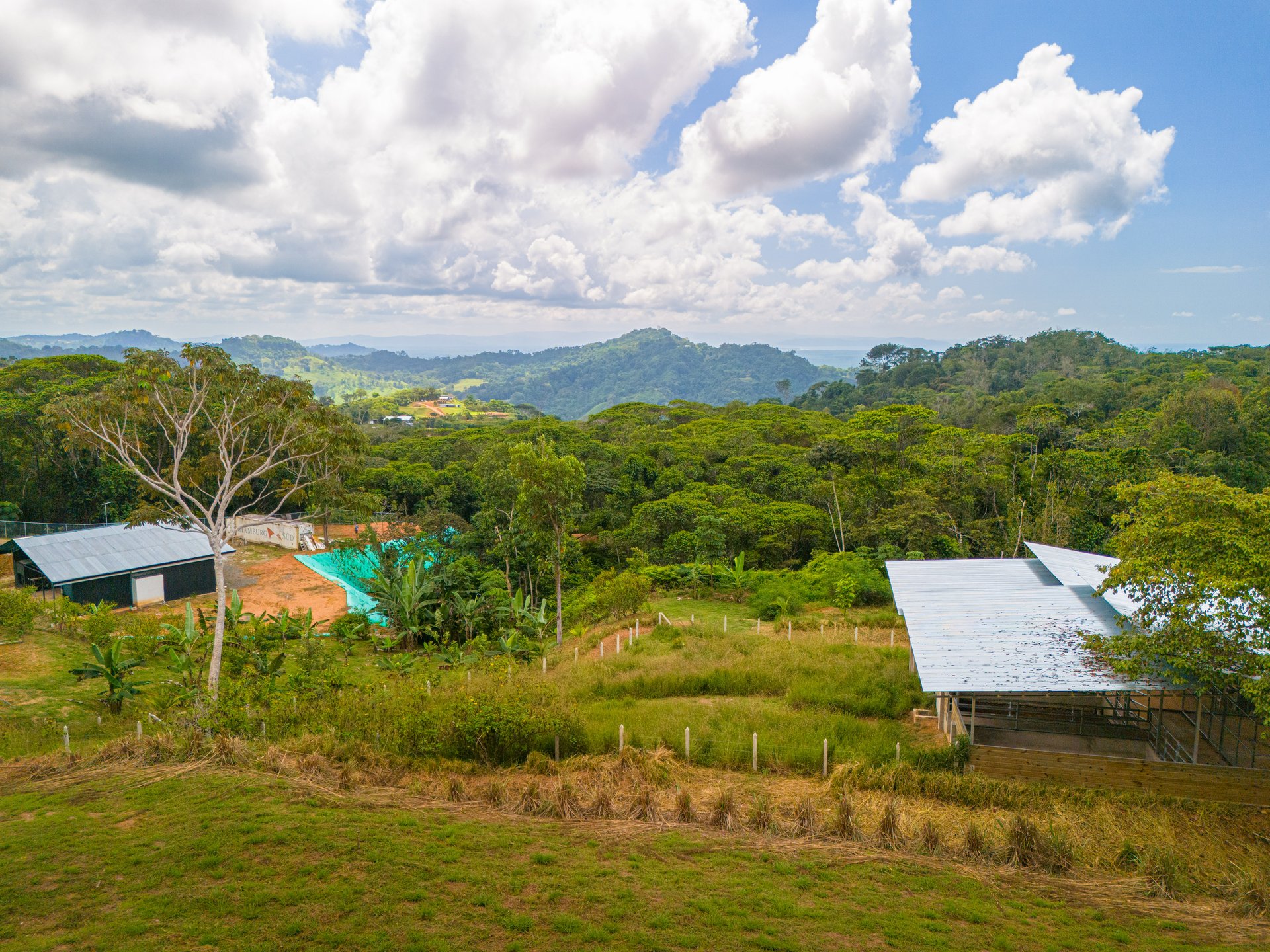 Oceanview Homestead in Tres Rios