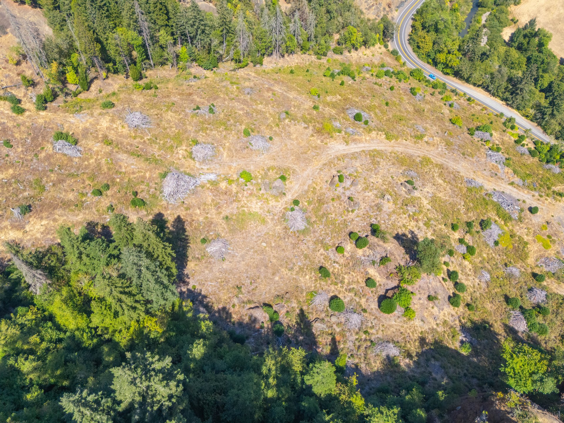 STRICKLAND CANYON HOMESITE