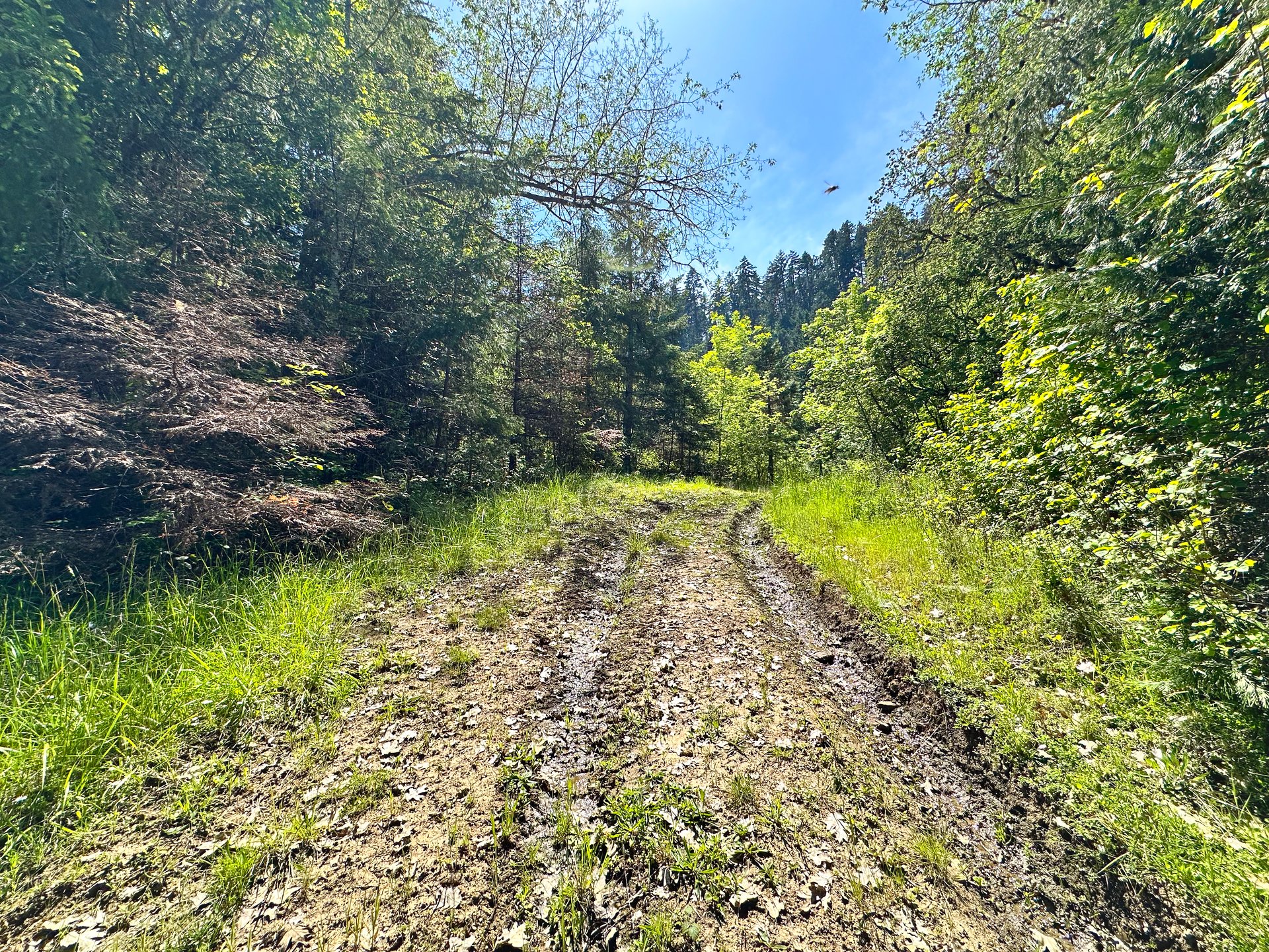 WAGON ROAD HOMESTEAD