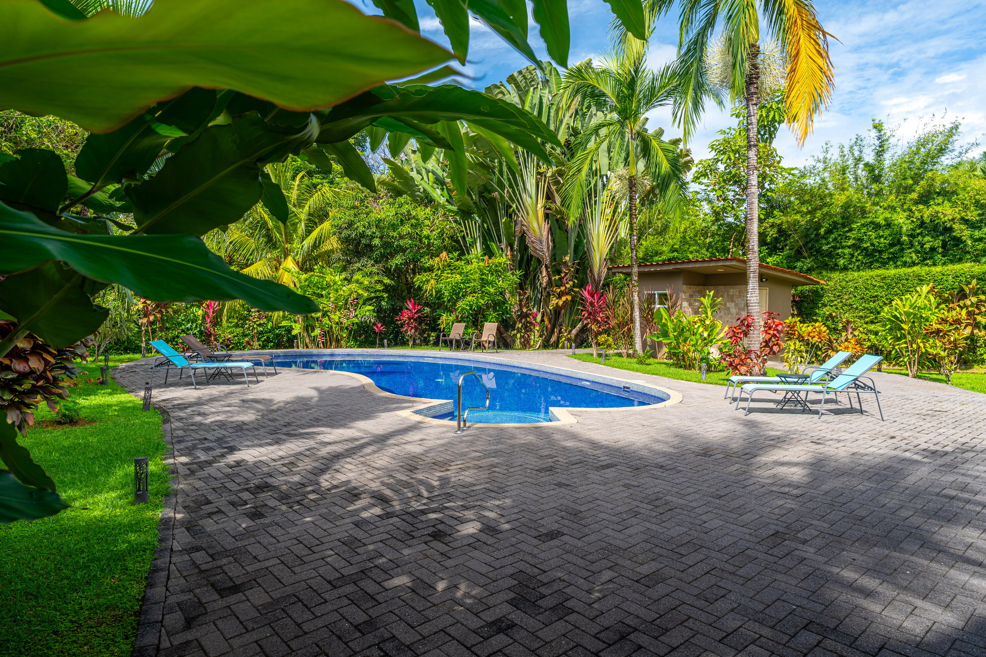 Casa Luna, 3bed /3bath Private Oasis, Convenient Location