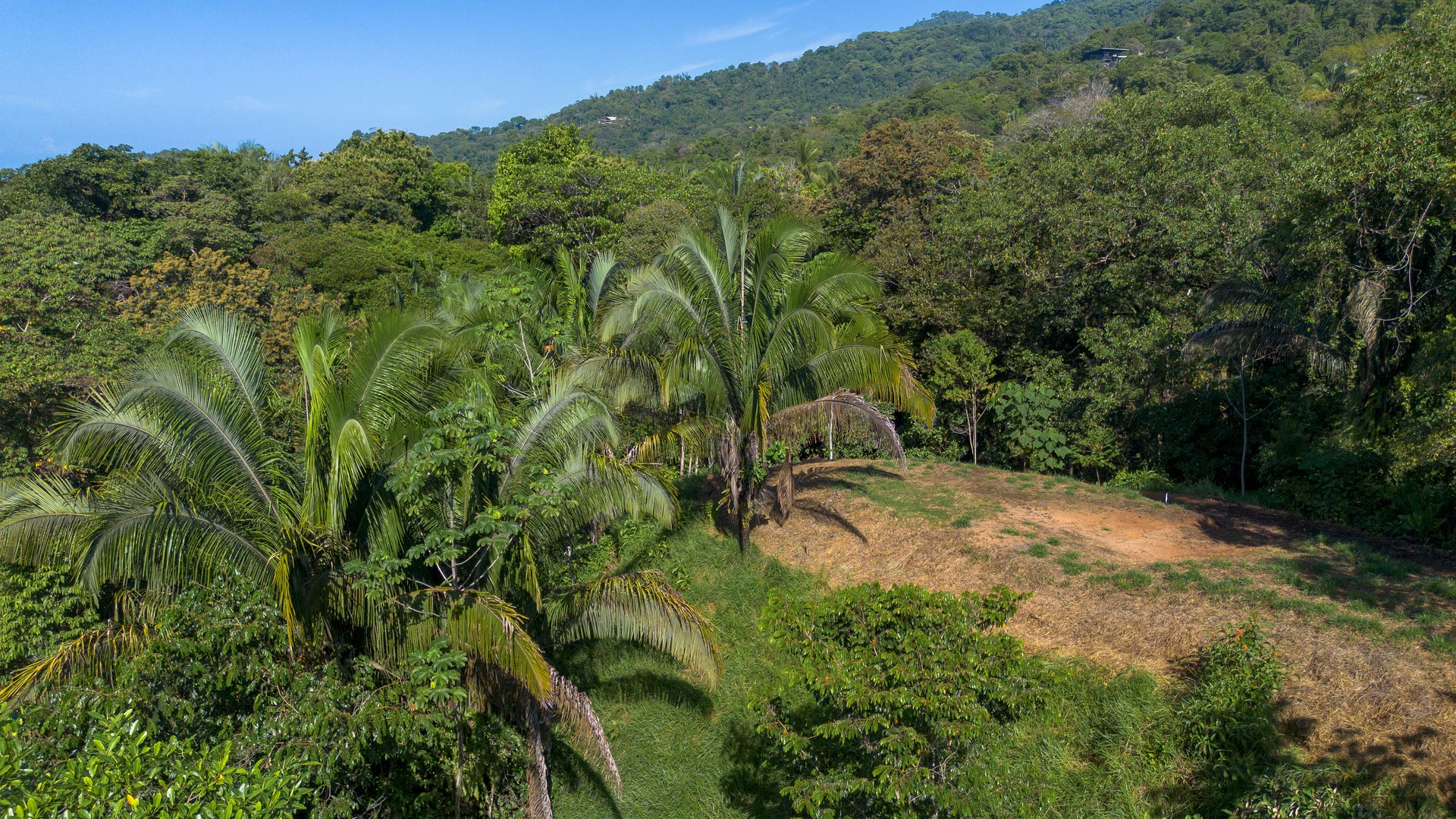 Surfers Paradise! Two Usable Lots for Building in Playa Hermosa Near Uvita!!