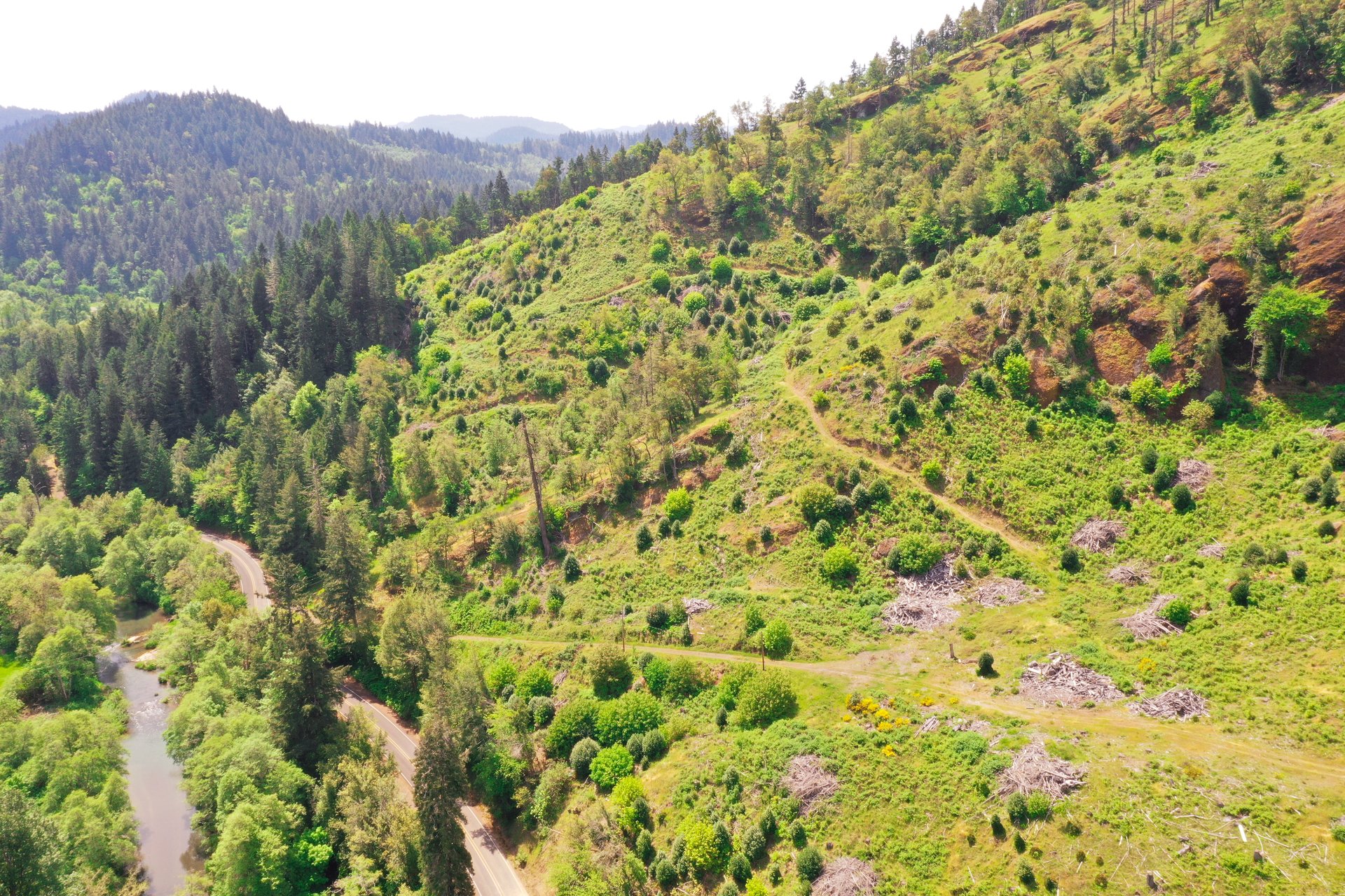 STRICKLAND CANYON HOMESITE