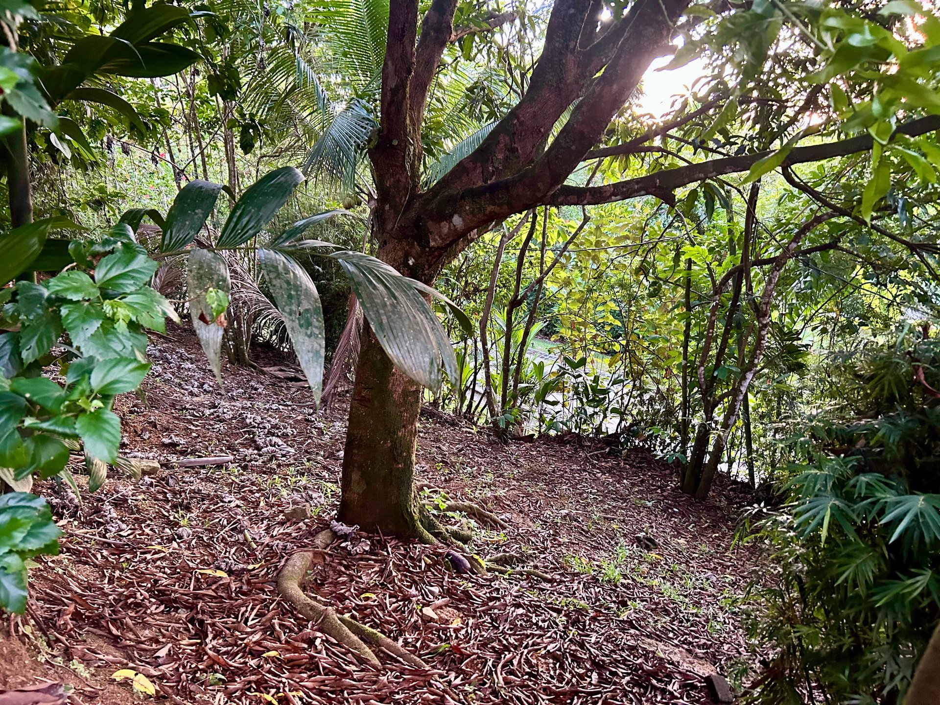 Great Opportunity Well-Located Lot in Playa Hermosa