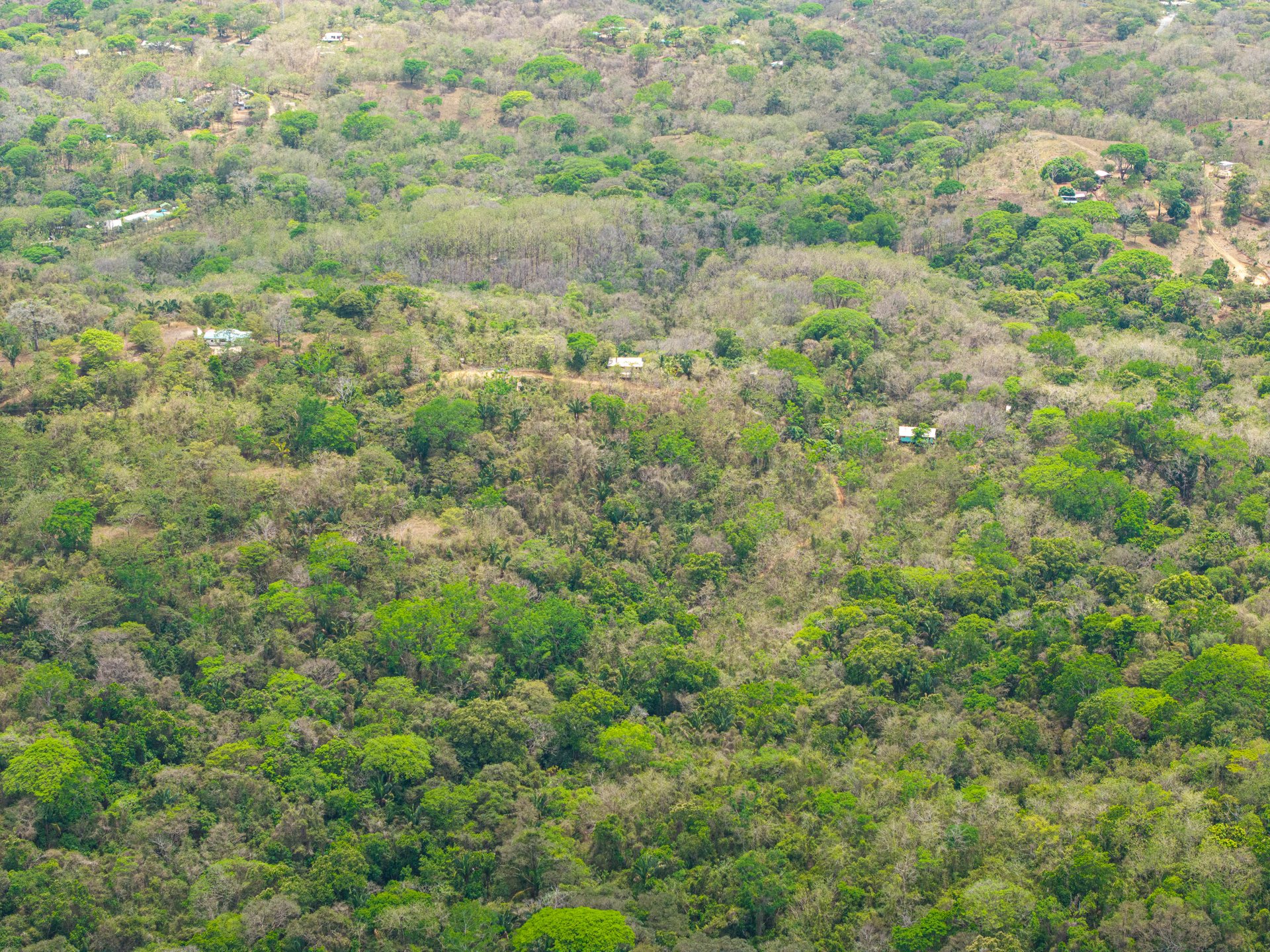 San Juanillo Farm | Large-Scale Ocean View Land with Investment Potential