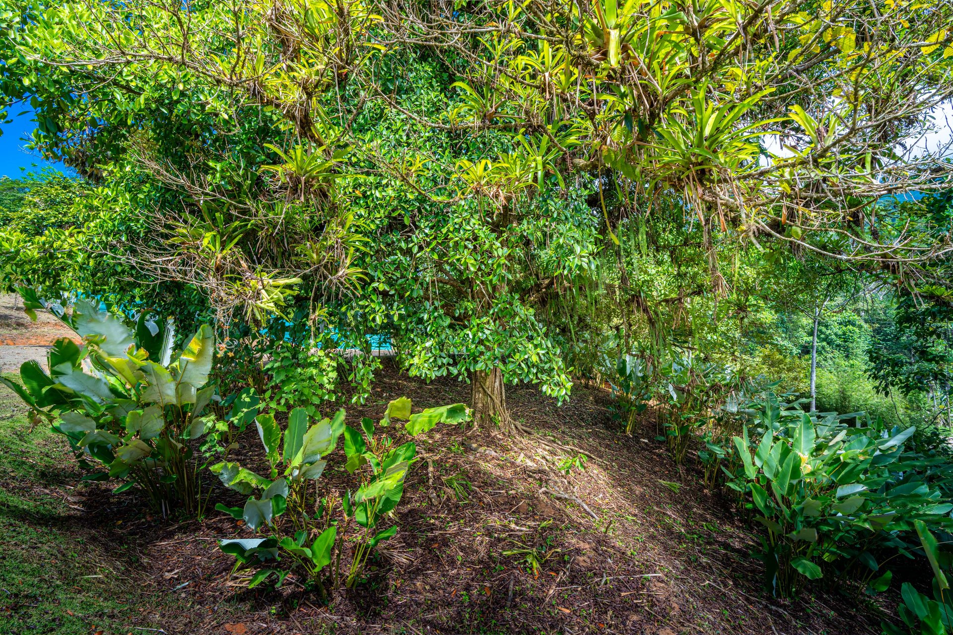 Prime, Flat and Ready to Build 1.5 Acre Lot in Phase 5, Ojochal, Costa Rica