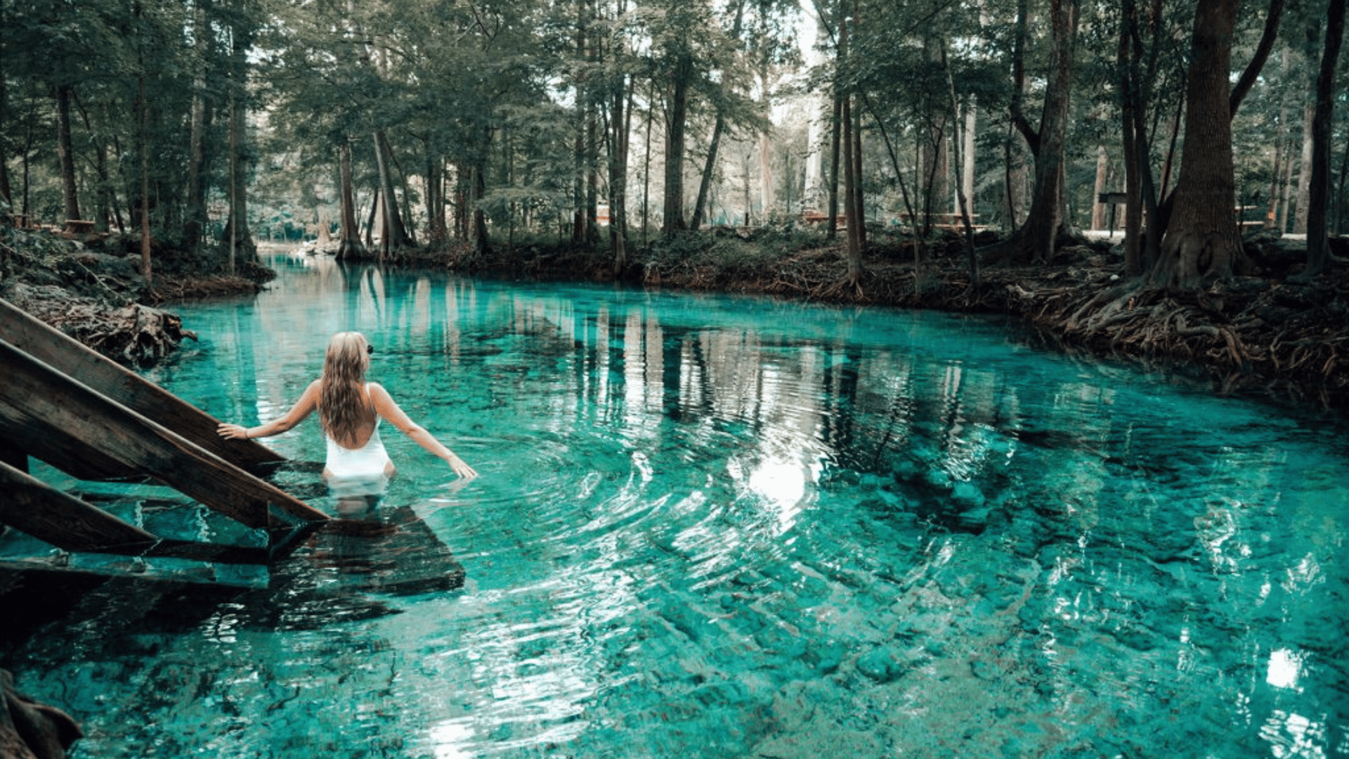 Ginnie Springs crystal clear turquoise spring water with swimmer in Florida - The Edit Real Estate October travel guide