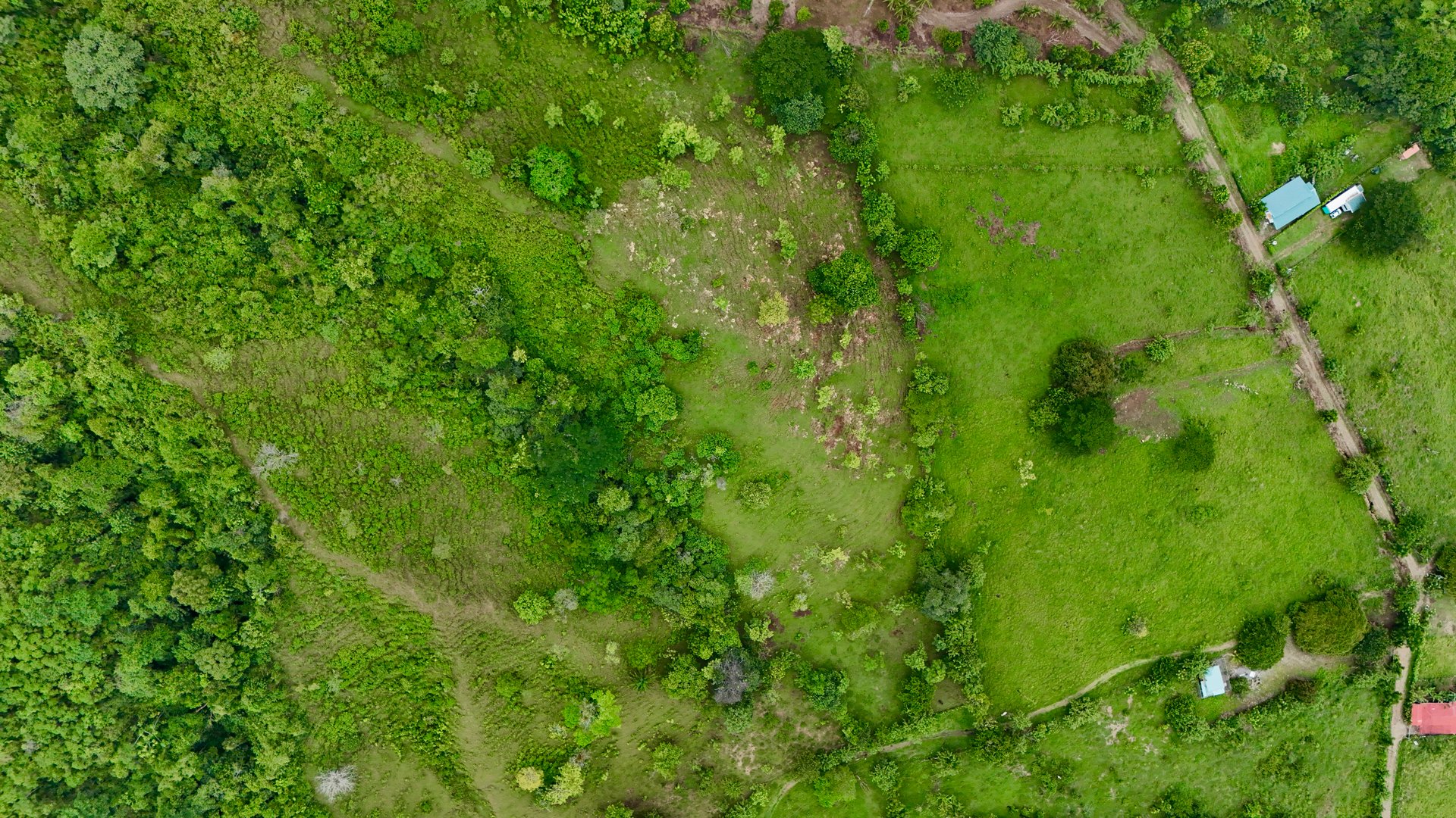 Ocean View Sanctuary in San Buenas – 4.94 Acres of Pastures & Easy Accessaccess
