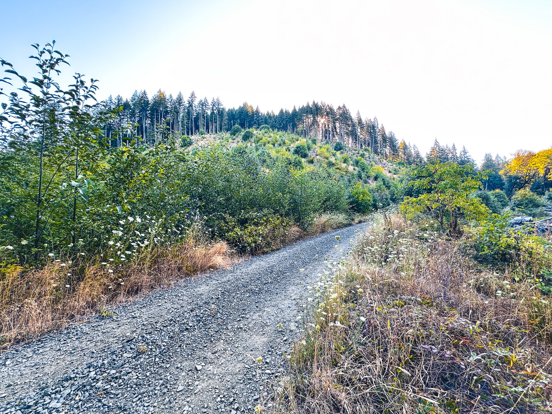Honey Grove Creek