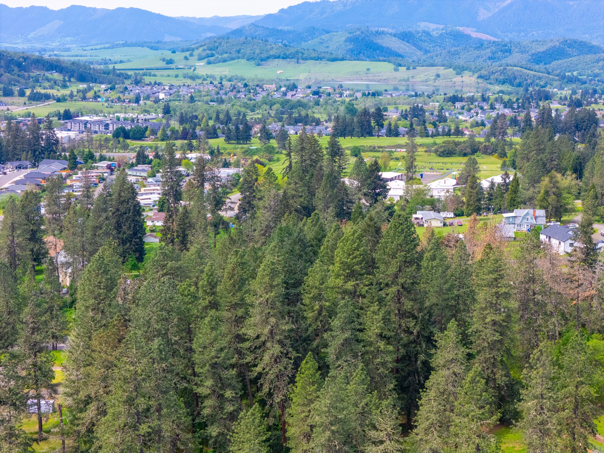 SUTHERLIN WOODLOTS