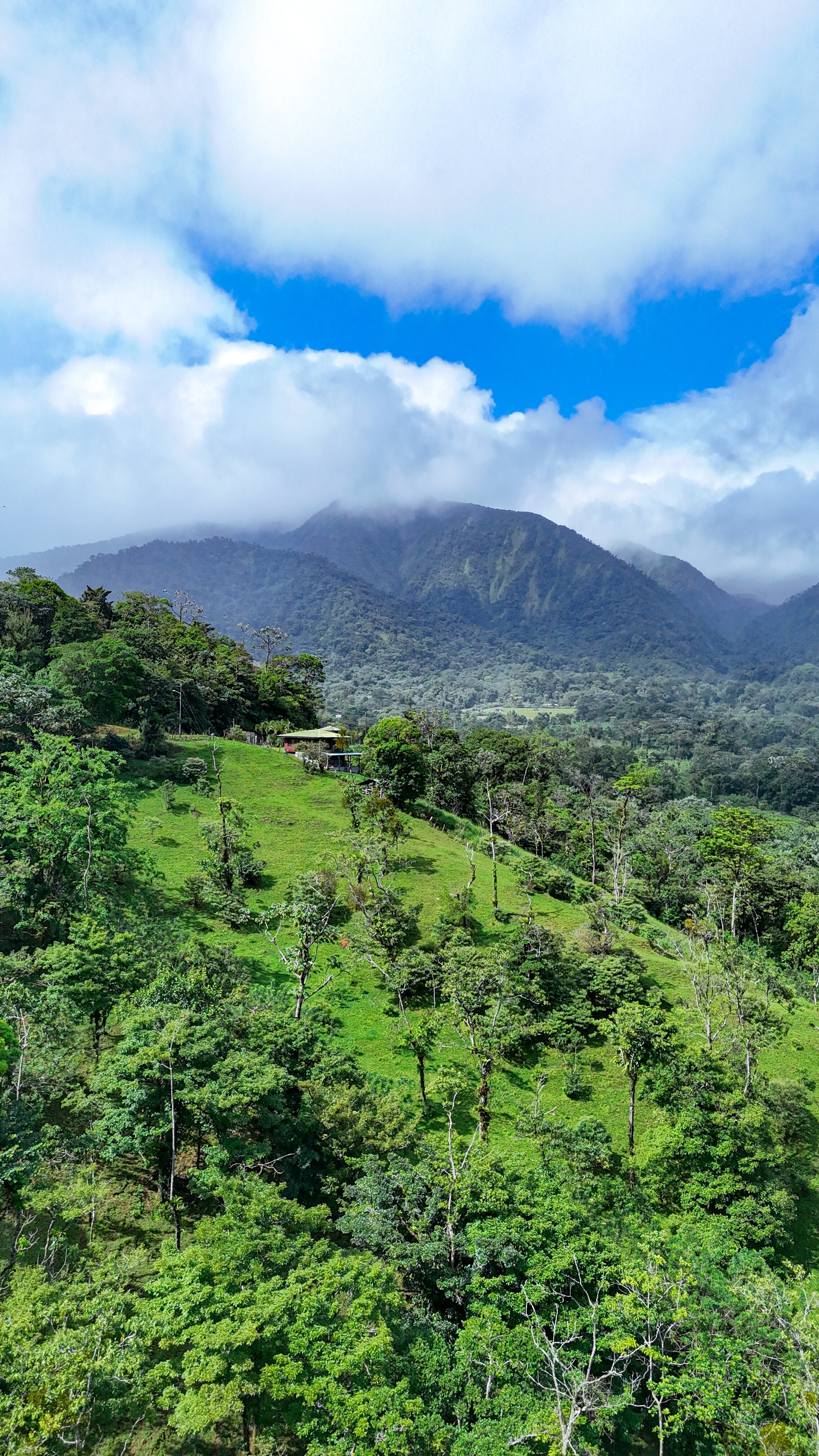 Finca Altamira | Boasting breathtaking panoramic views of the majestic Miravalles Volcano!