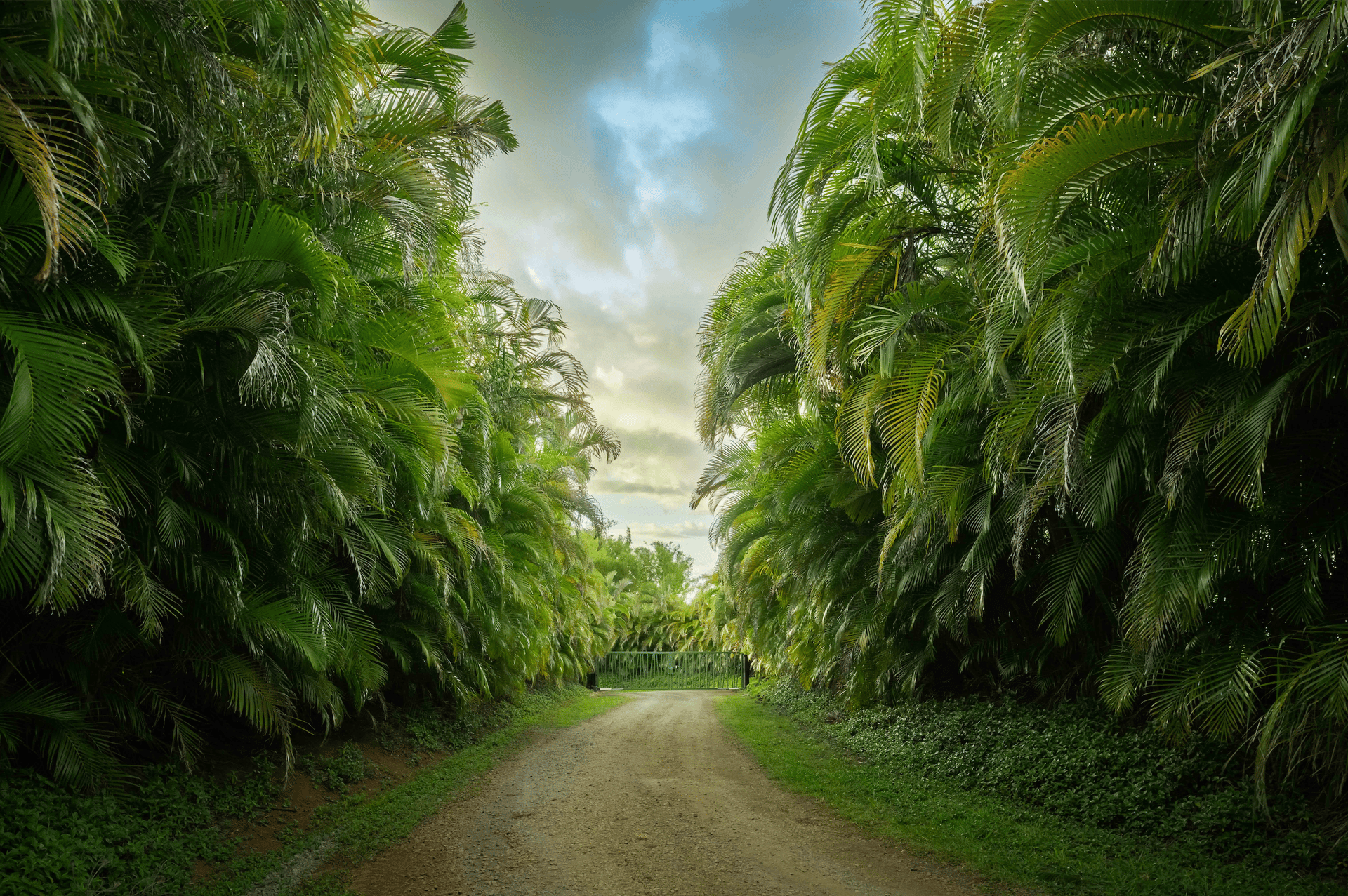 Blue Rock Ranch, Maui