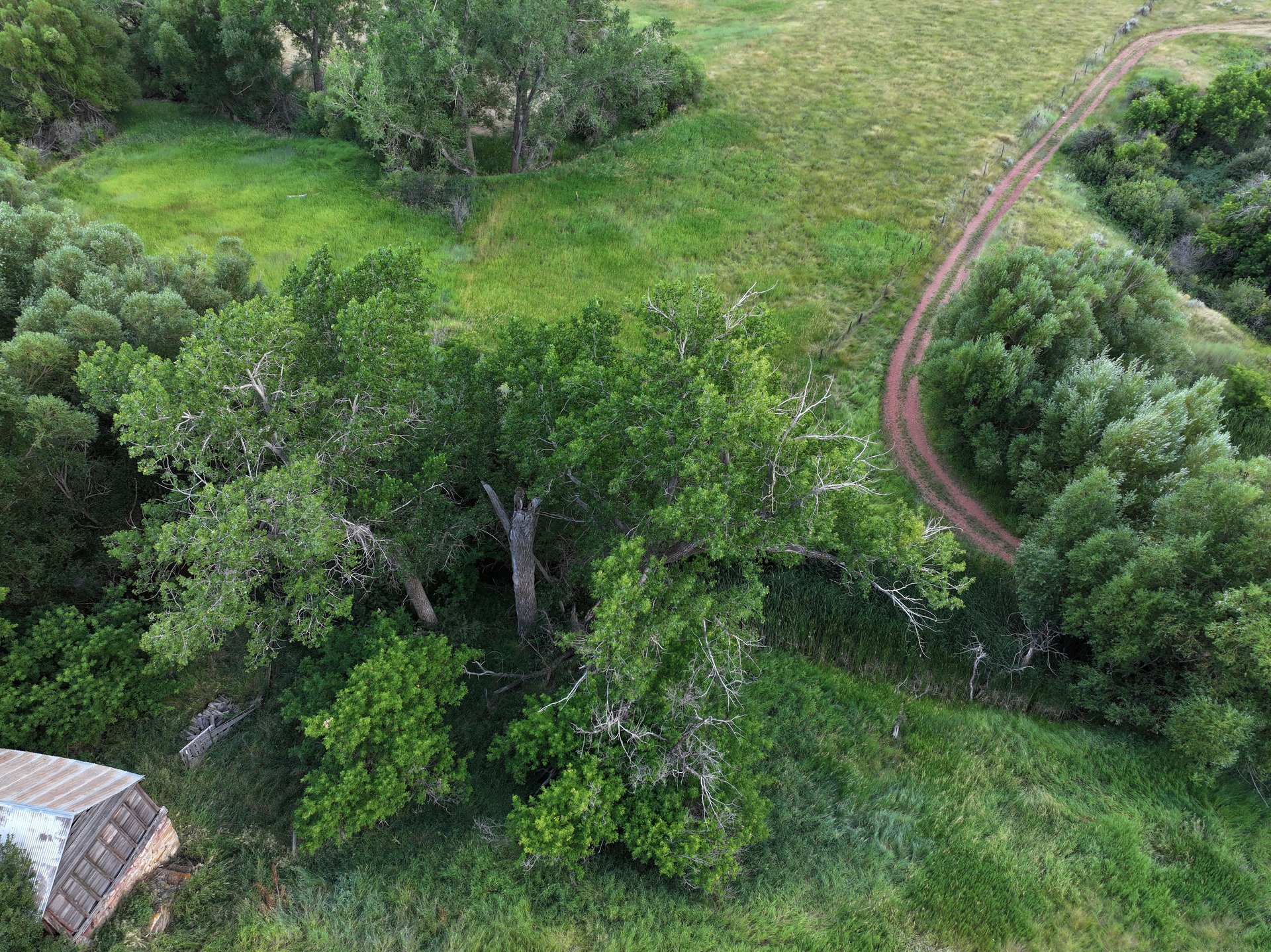 Dutch Creek Ranch 