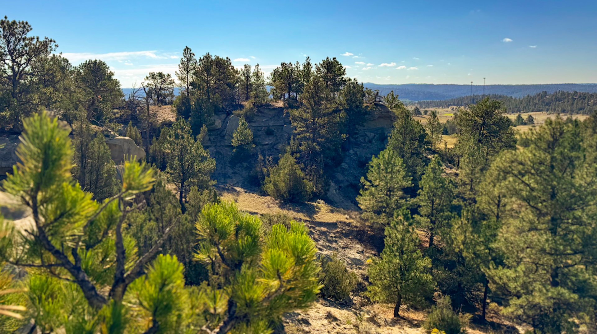 Bull Mountain Overlook