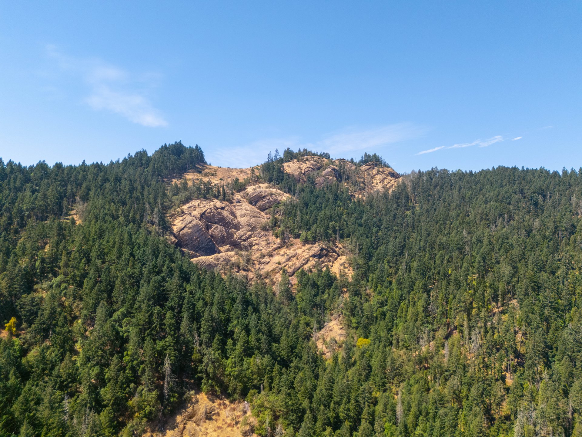 STRICKLAND BOULDER FOREST