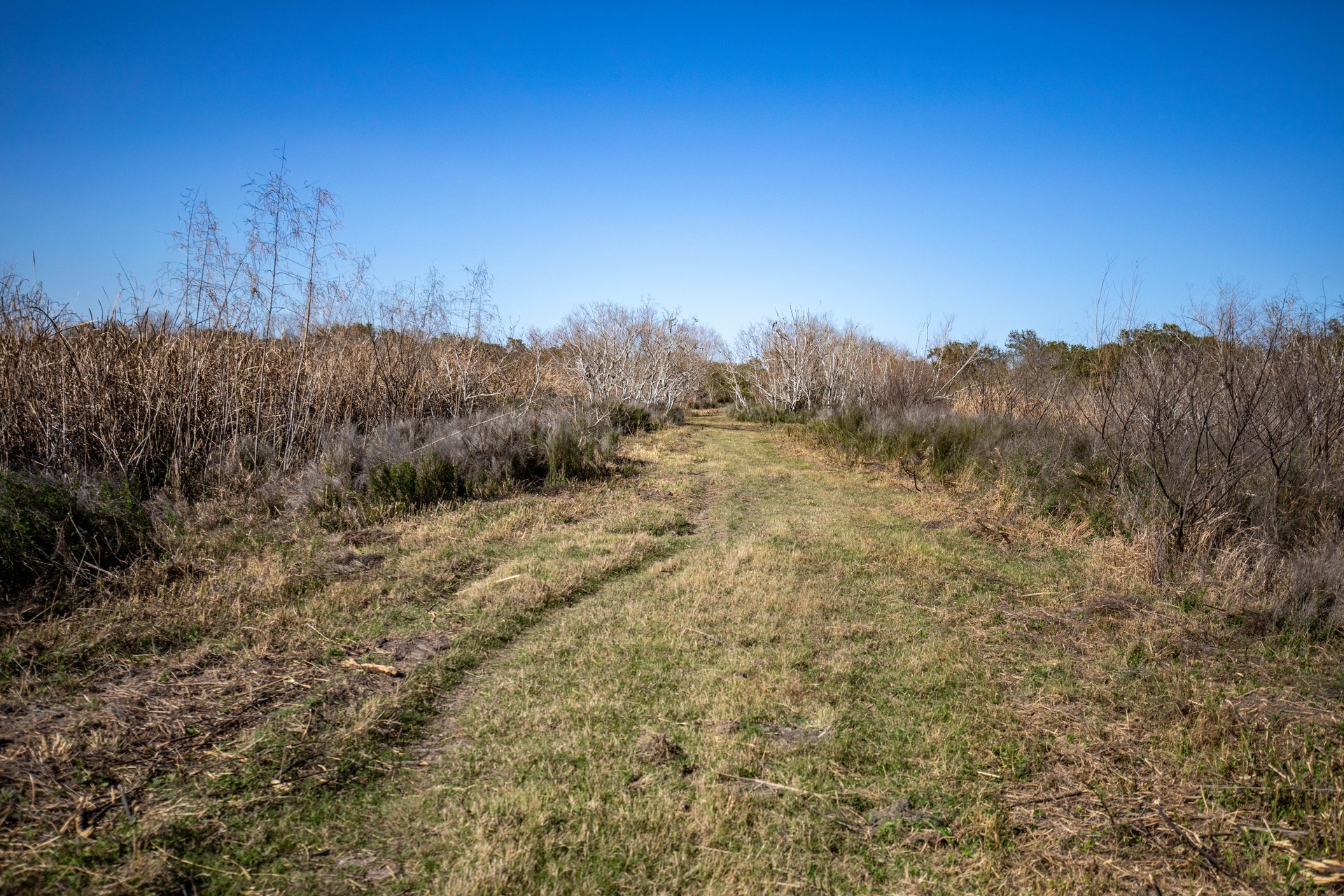 Lamar Peninsula Development Tract |  51.81± Acres | Aransas County