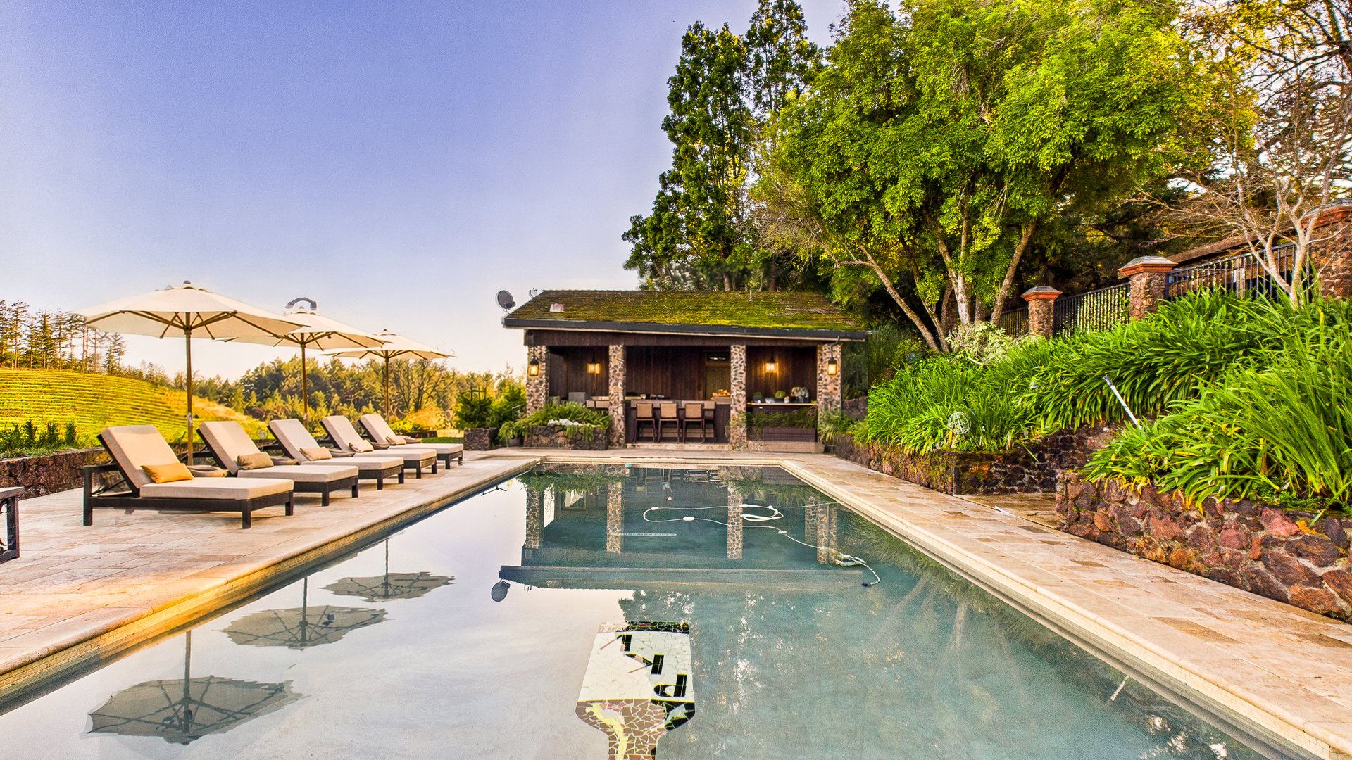 The Pezzy King Estate