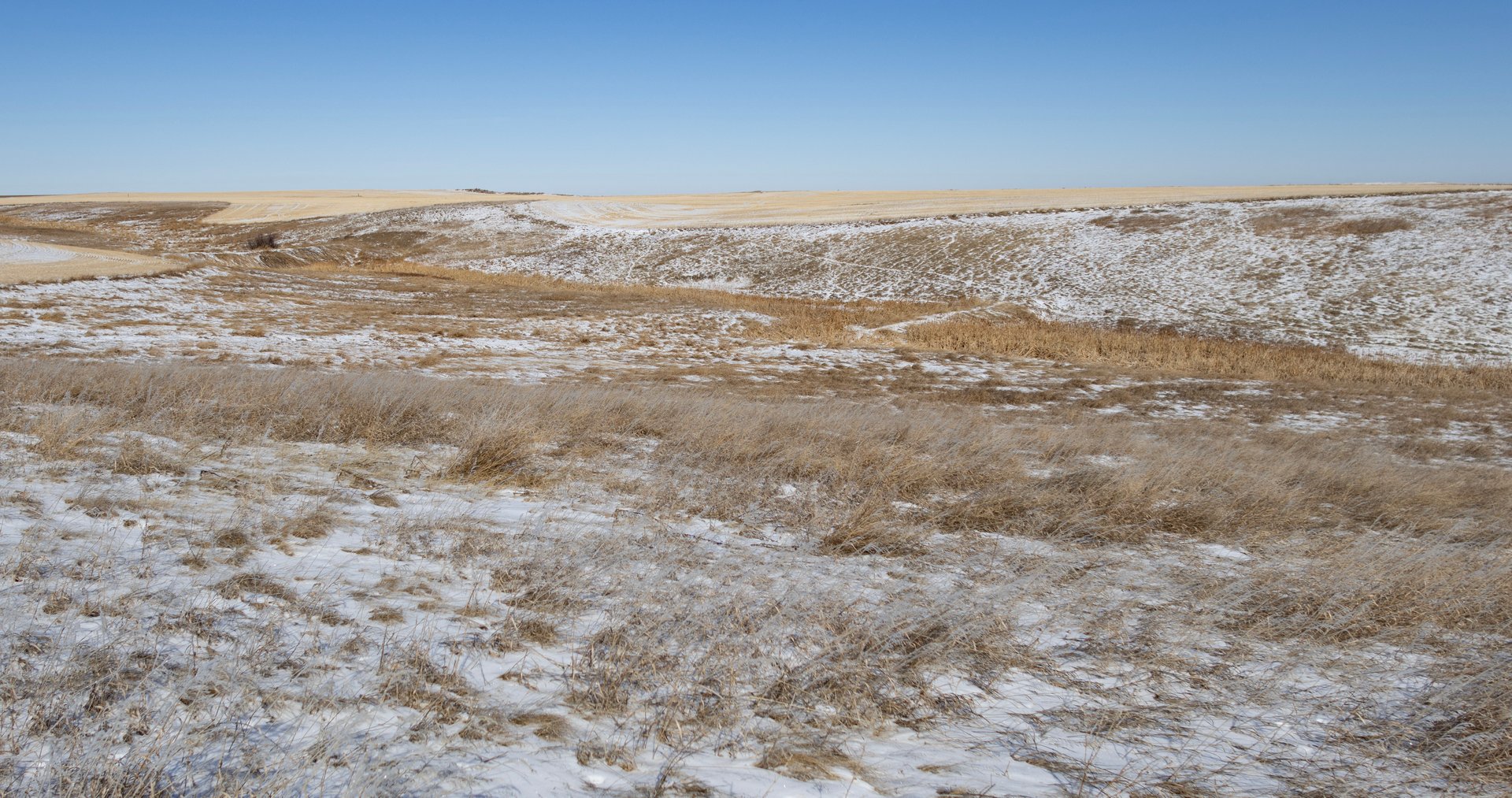 Upland Edge