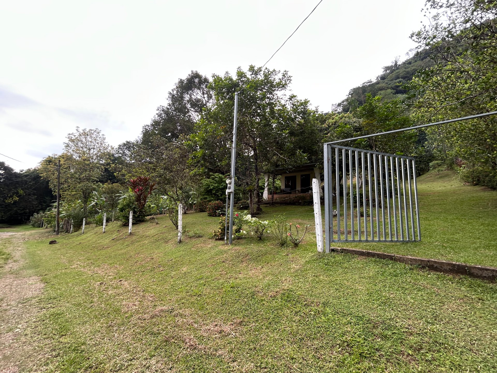Commercial & Residential Property in Punta Mala with Producing Fruit Trees